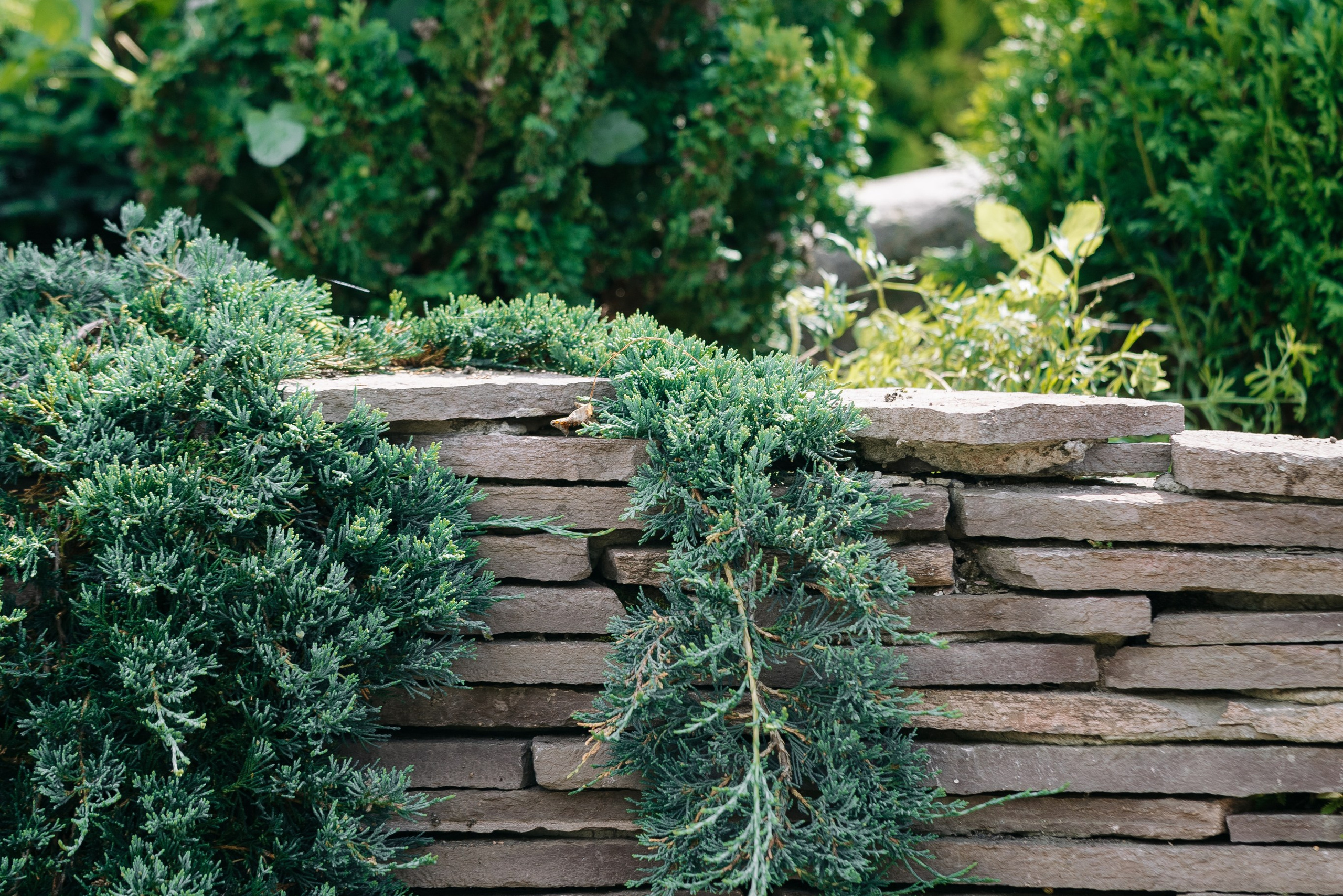 Ландшафтный дизайн. Главная