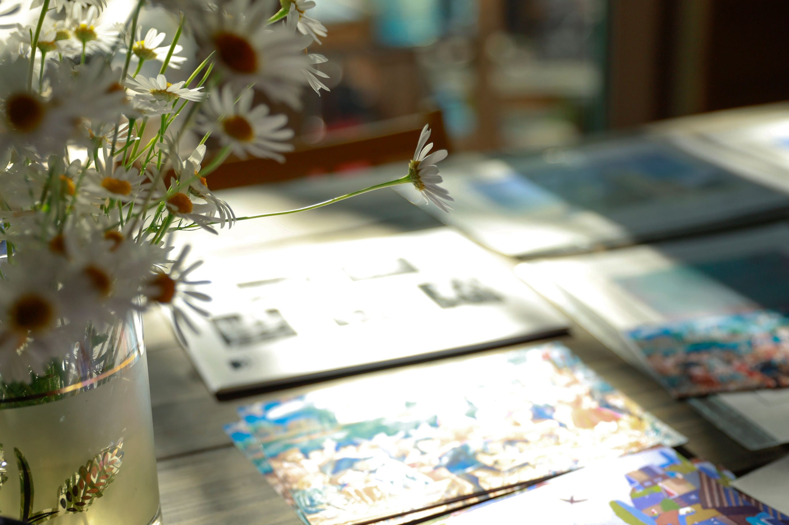 Крохино. Фотограф Светлана Заплатина