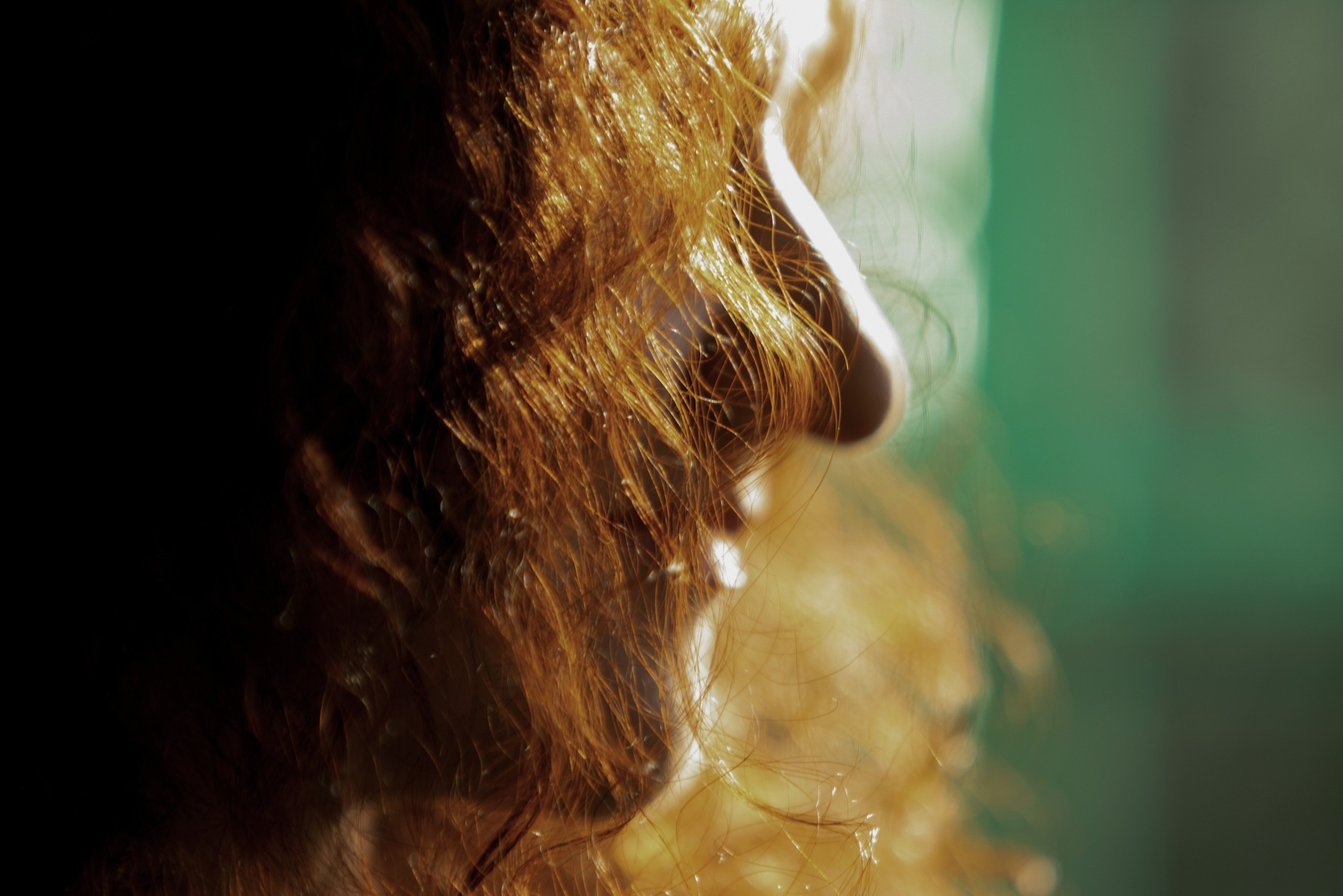 Контакты. Фотограф в Санкт-Петербурге