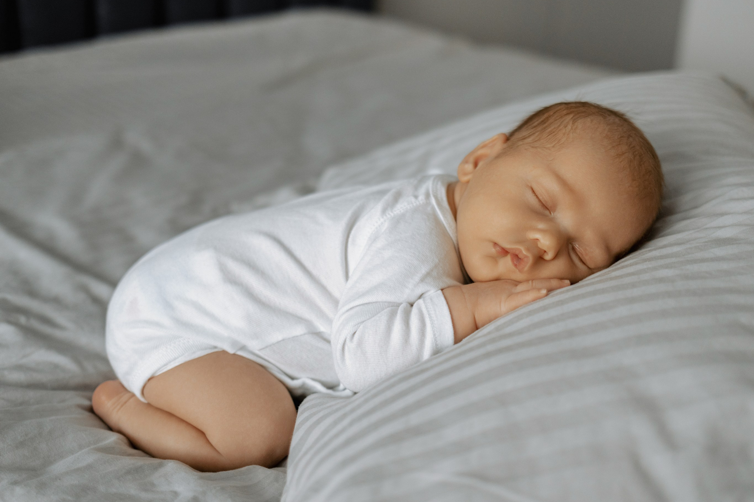 Стоимость и услуги. Фотограф Москва