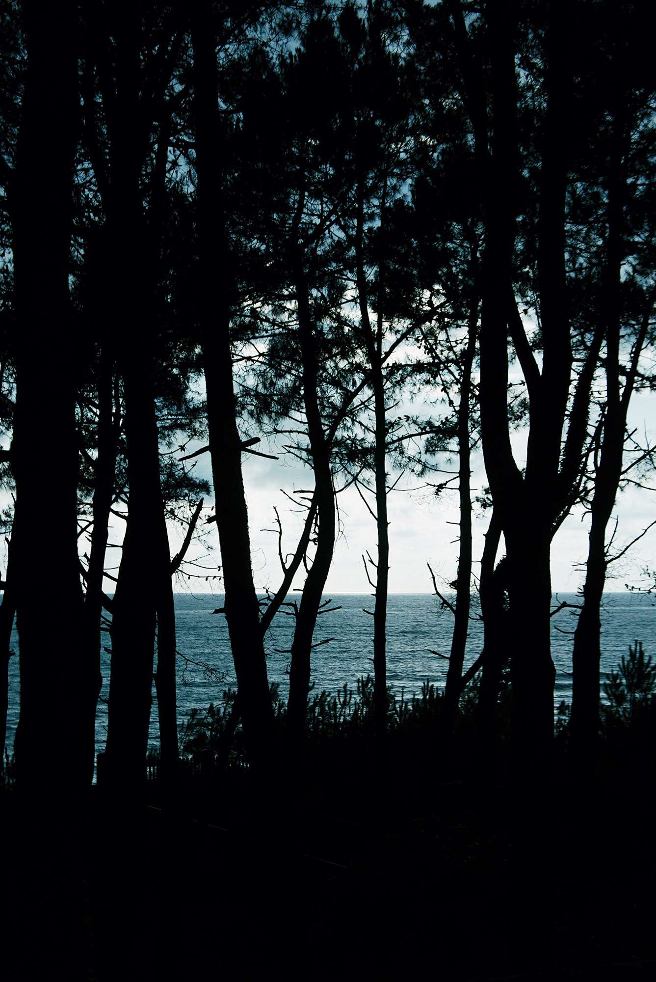 По направлению к маяку