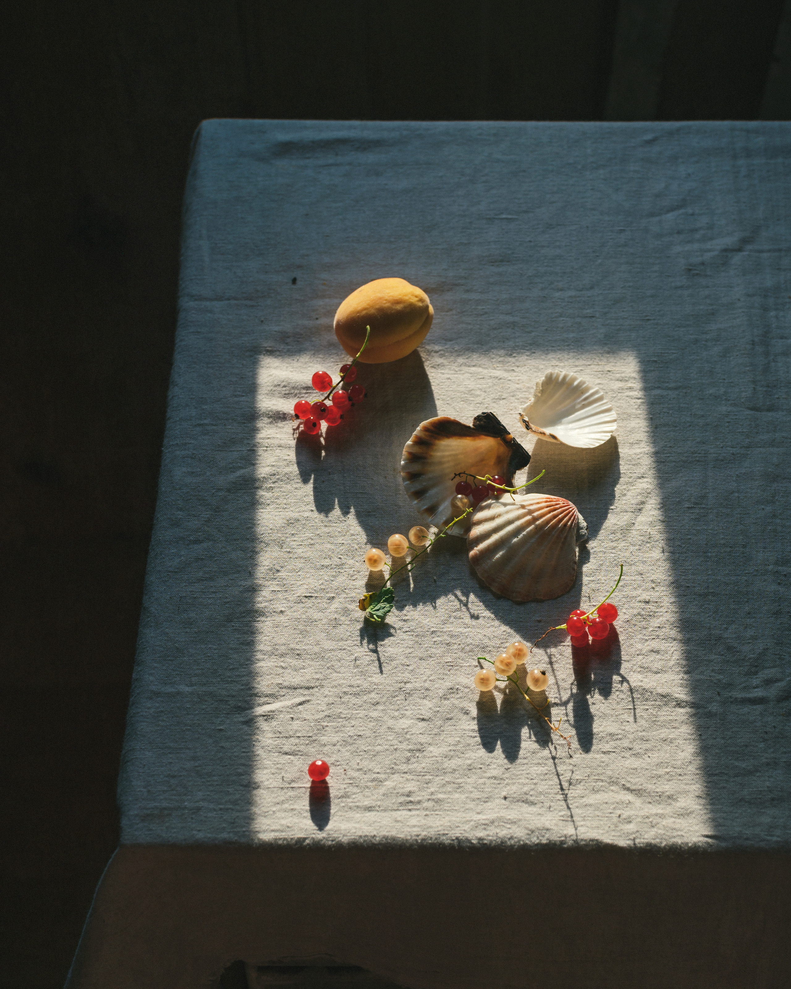 Ароматы лета. Фотограф Елена Хазина, Рязань