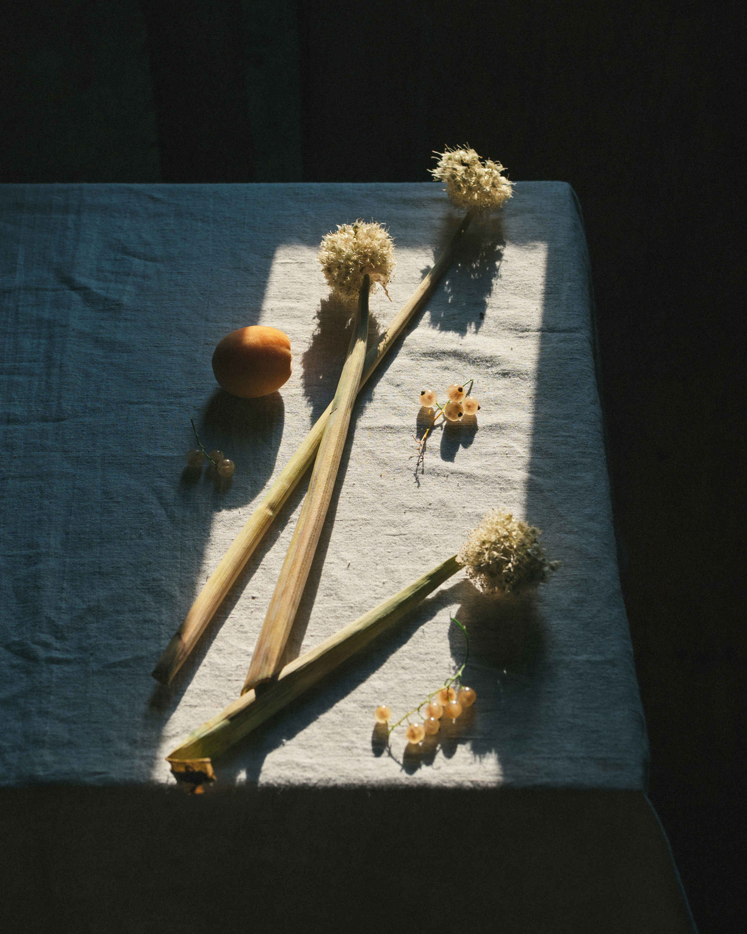 Ароматы лета. Фотограф Елена Хазина, Рязань