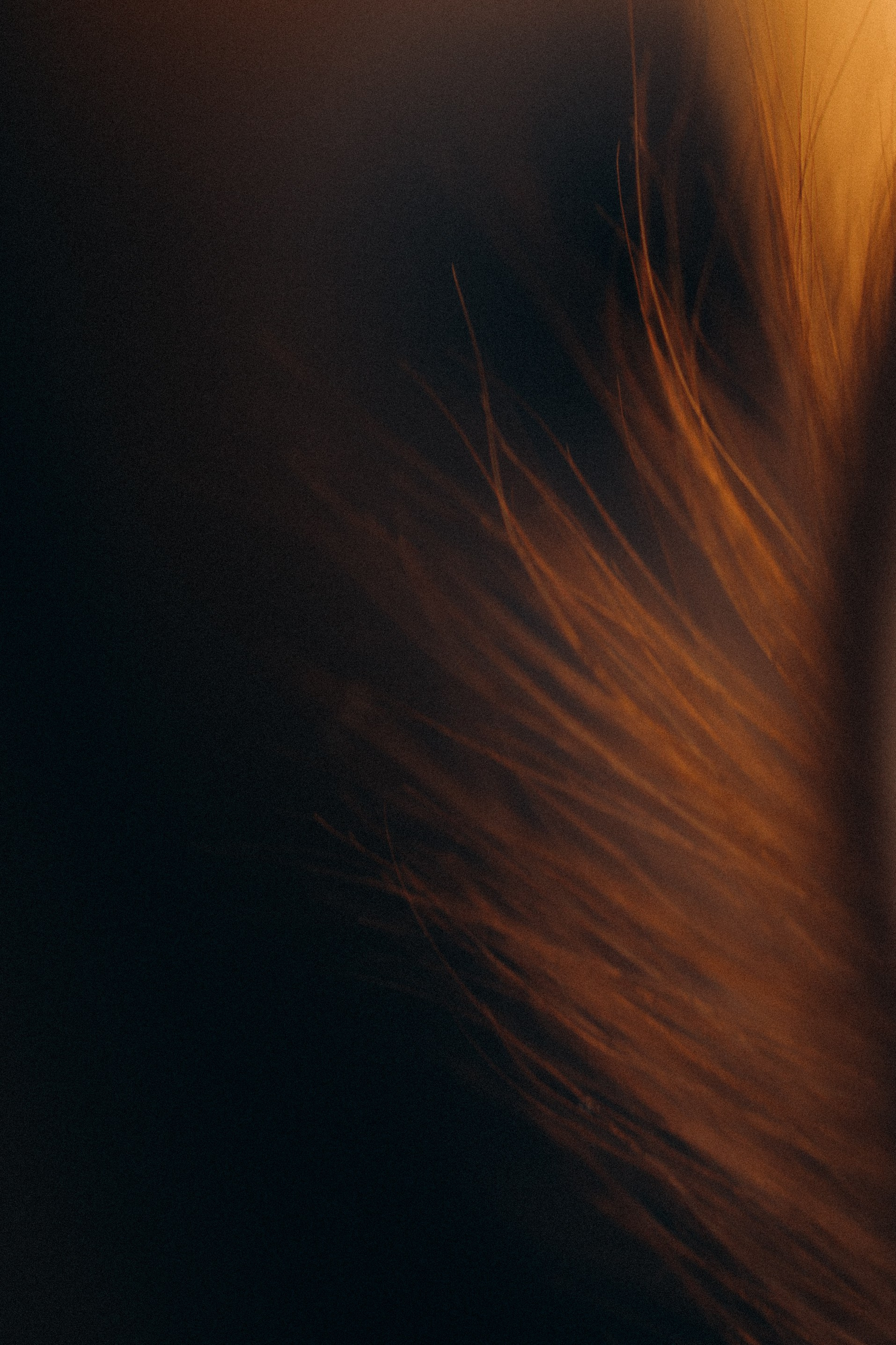 Семейный фотограф в Казани Татьяна Тюрина