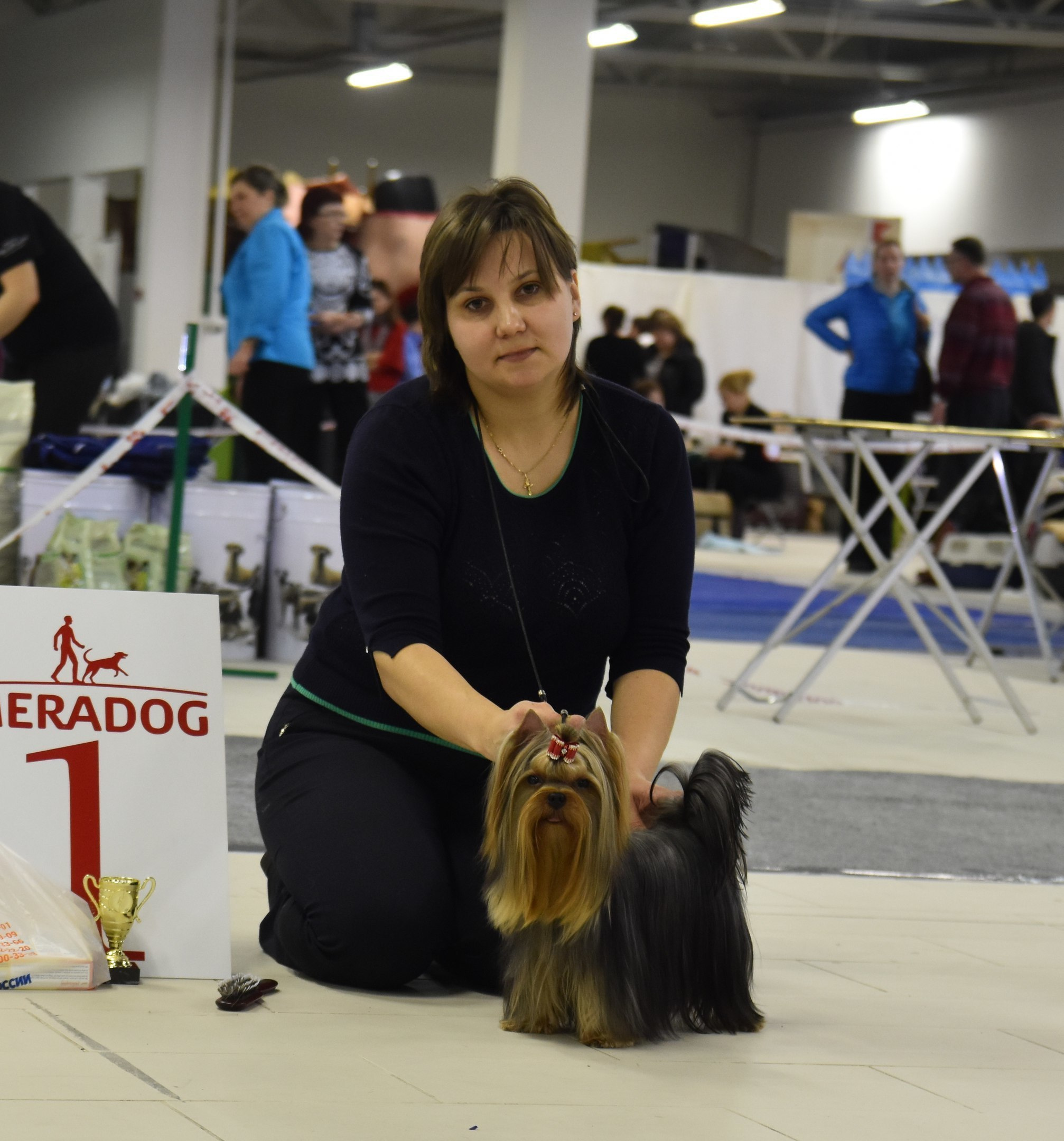 2016 г Результаты выставок. Питомник Йоркширских терьеров Дэнстайл в Санкт-Петербурге заводчик Тих