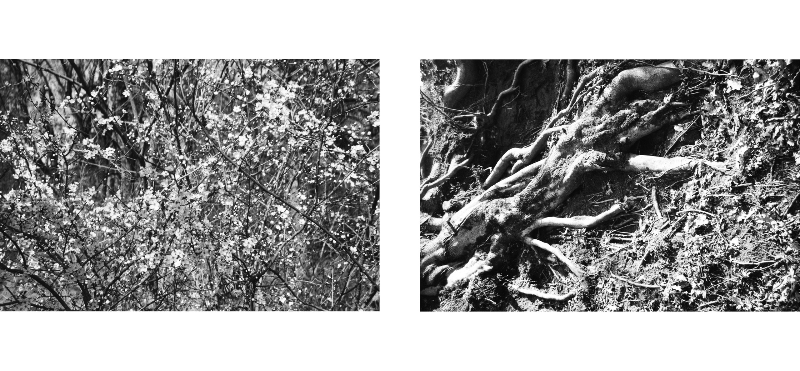 Зарисовки — Пятигорск, Кисловодск, Ессентуки — Документальный фотограф Настя Строчкина