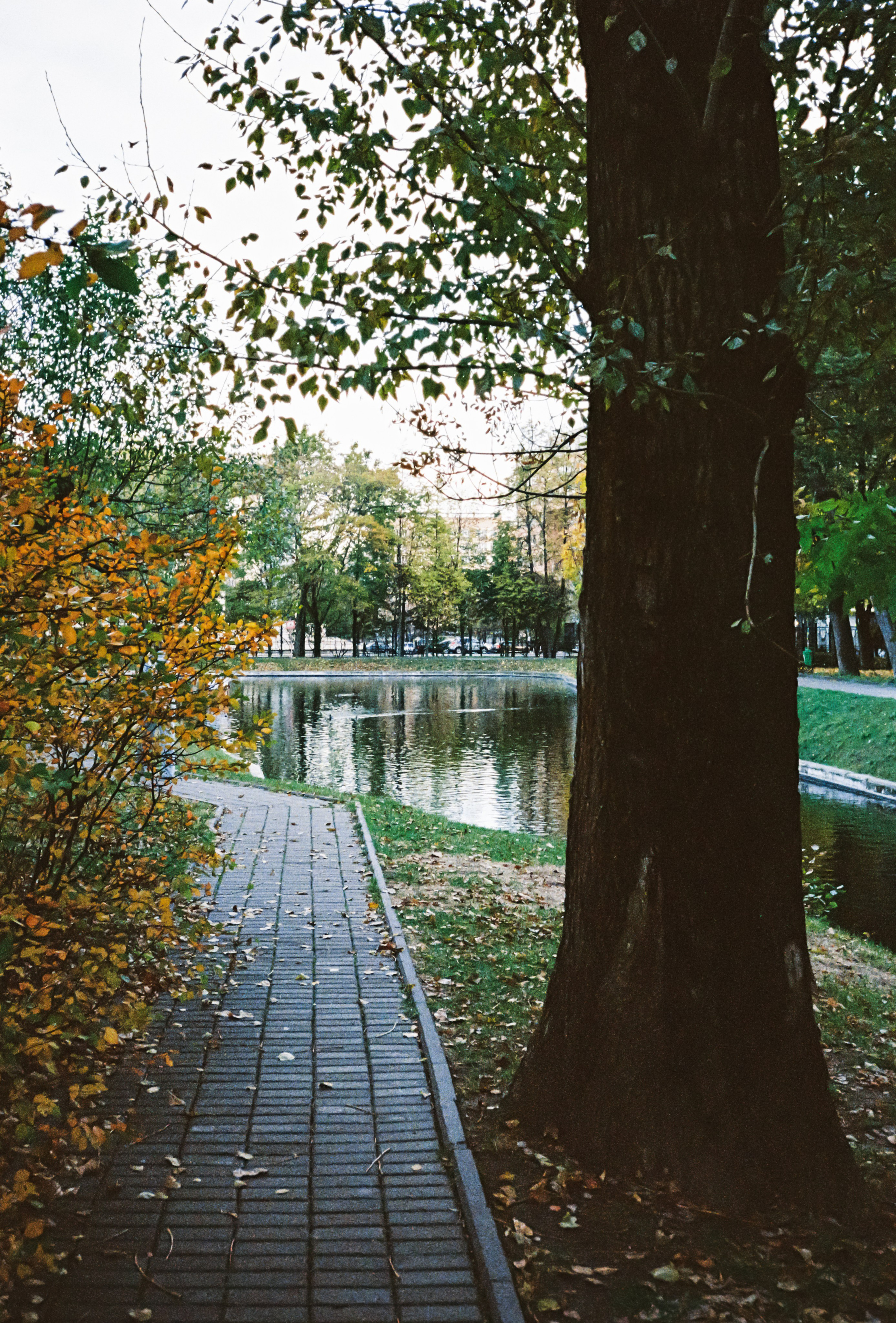 Осенний пруд в парке Усадьба Трубецких