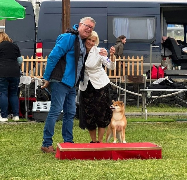 2024. SHIOMARU Shiba and Akita Inu Kennel