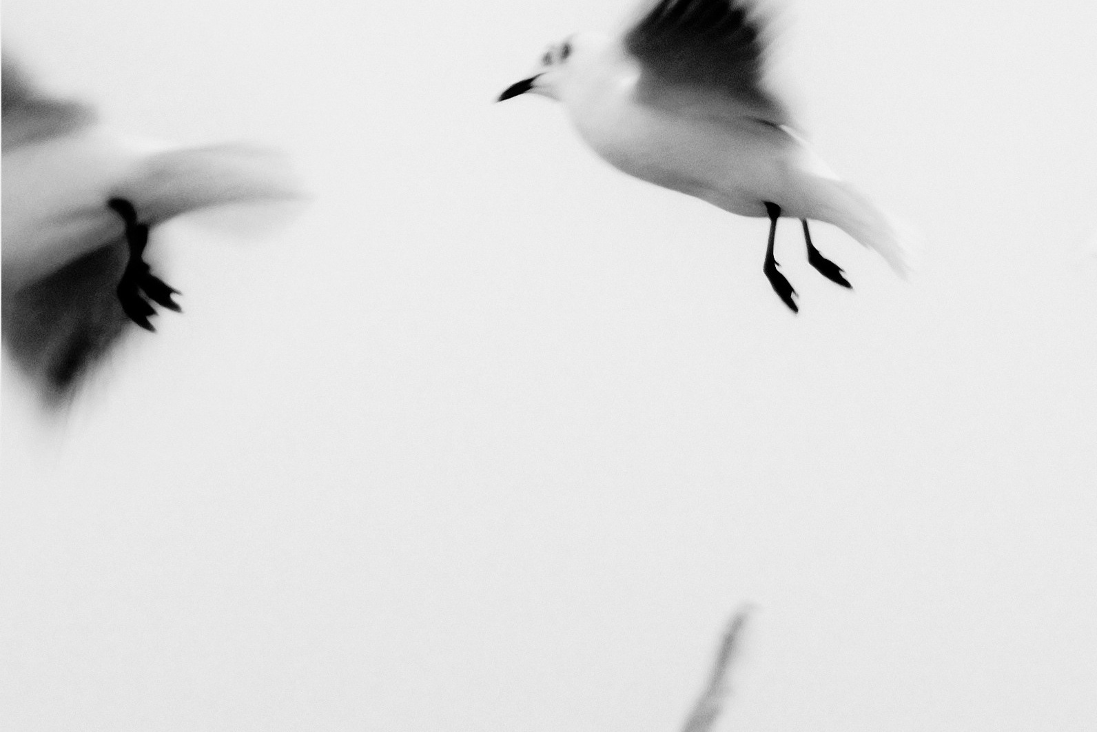 Консультация и пресеты. Фотограф Нина Дмитриева