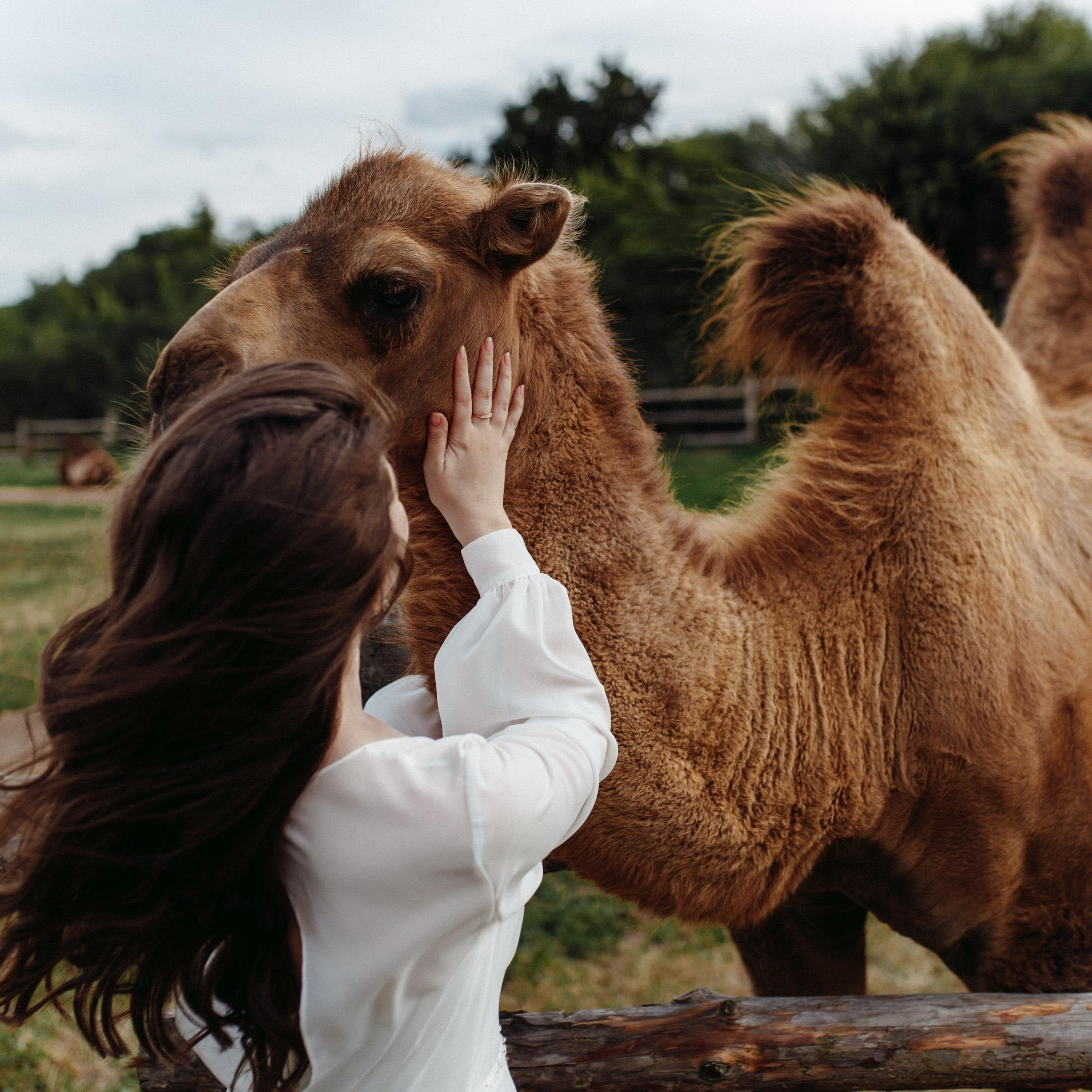Свадебное ФОТО & ВИДЕО Москва/Липецк