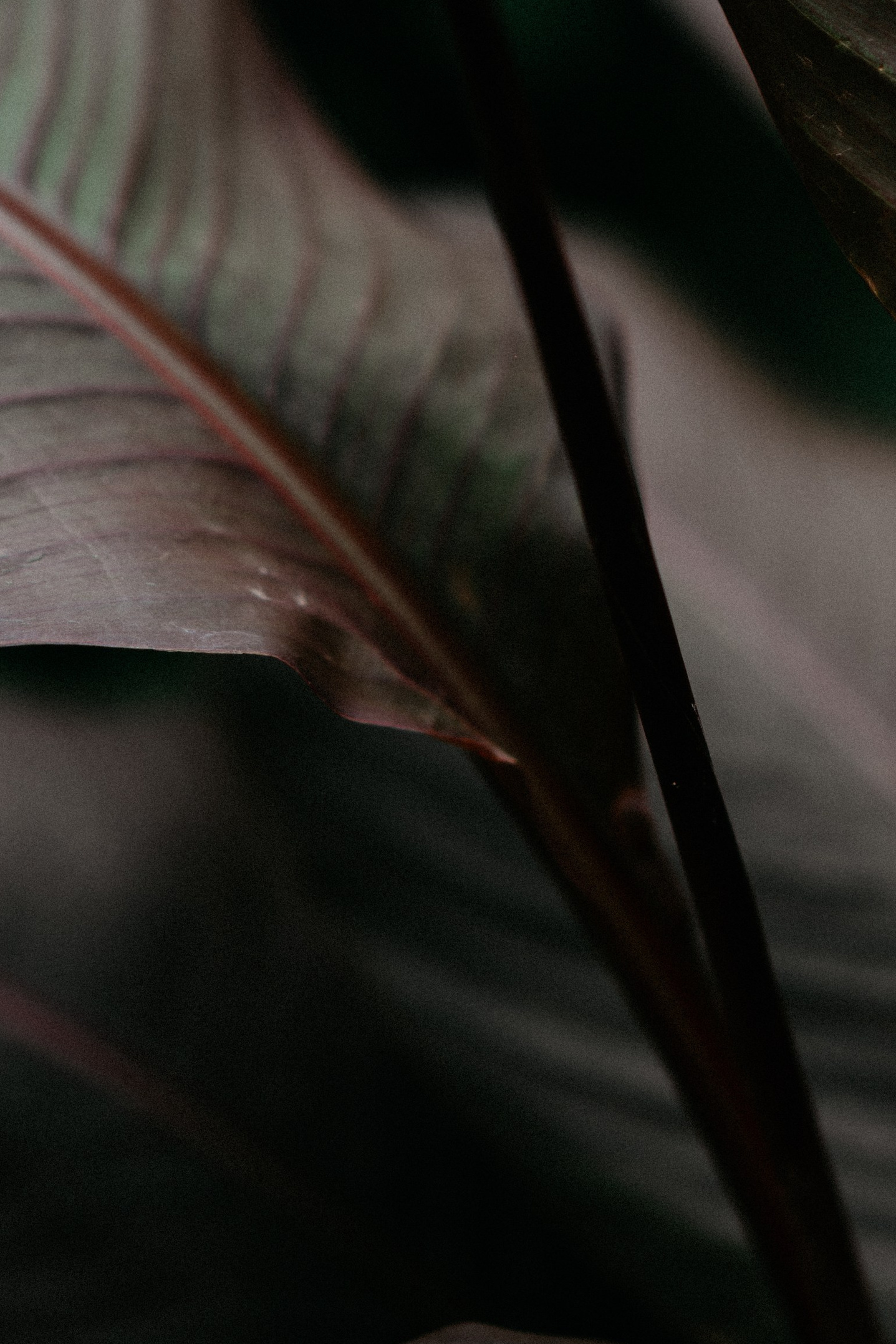 Контакты. Кристина Пархоменко. Фотограф. Краснодар