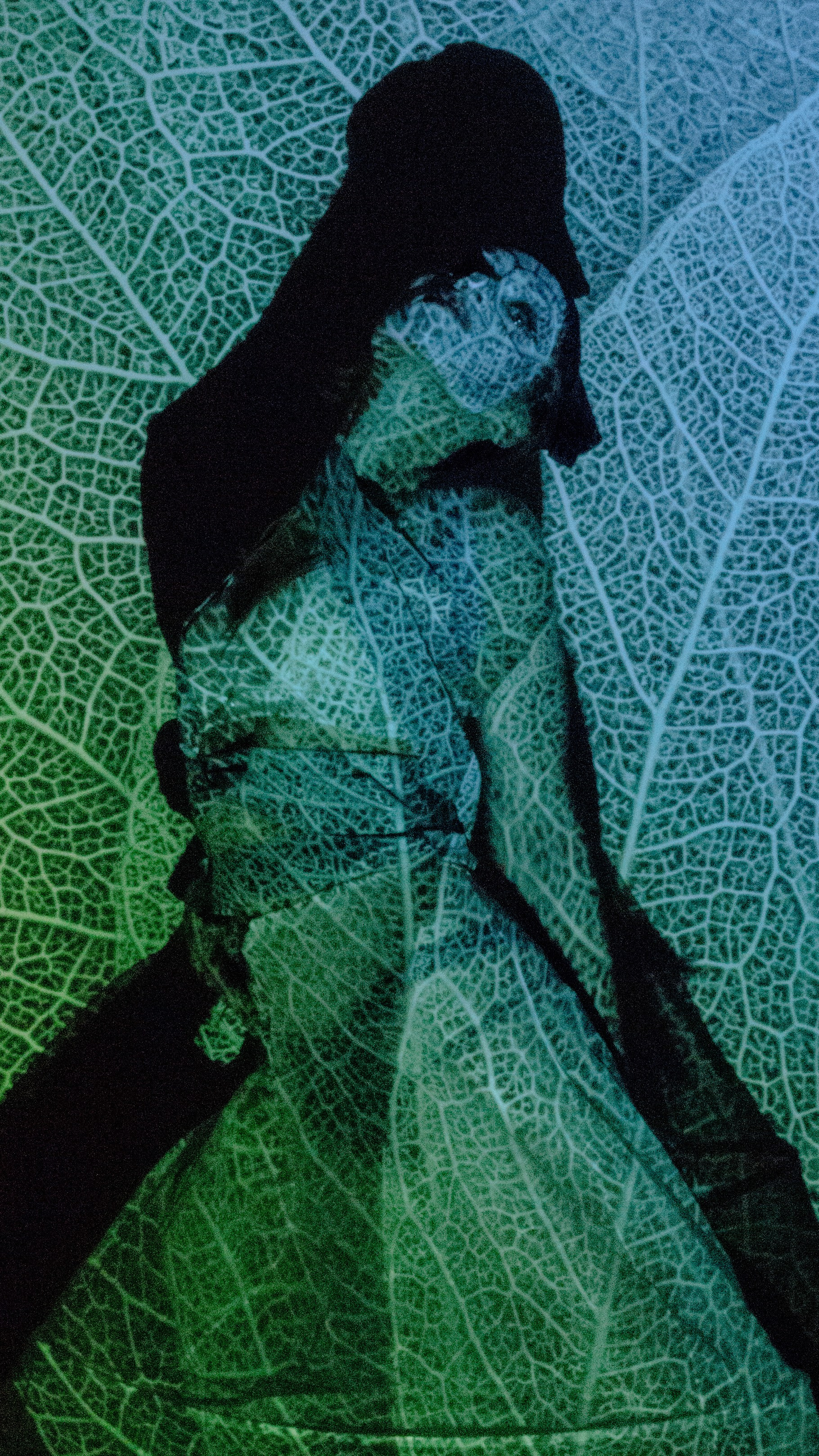 LUMINOUS SCORE. Yulia Yurchevskaya | Art Director & Visual Visionary