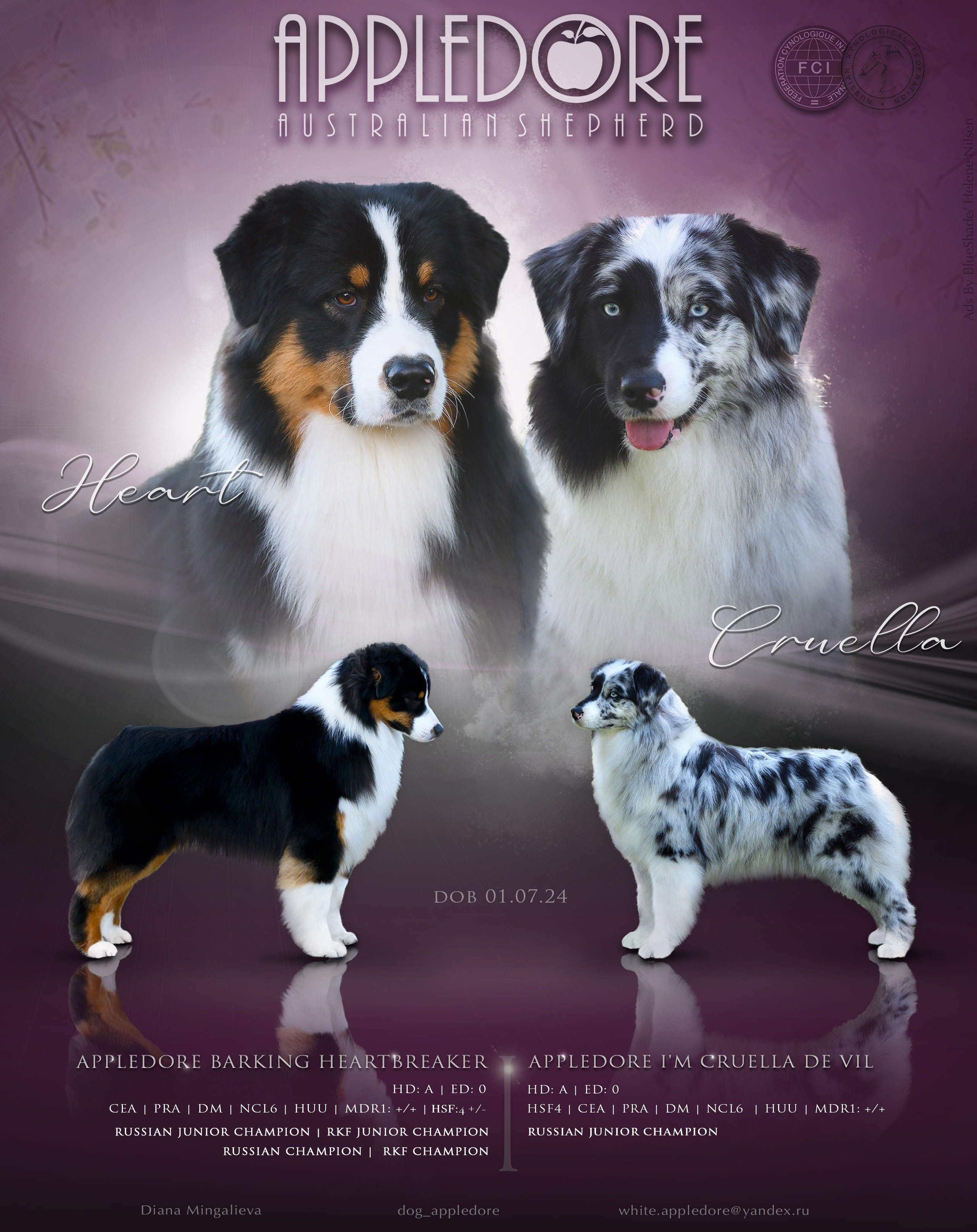 AVAILABLE. APPLEDORE