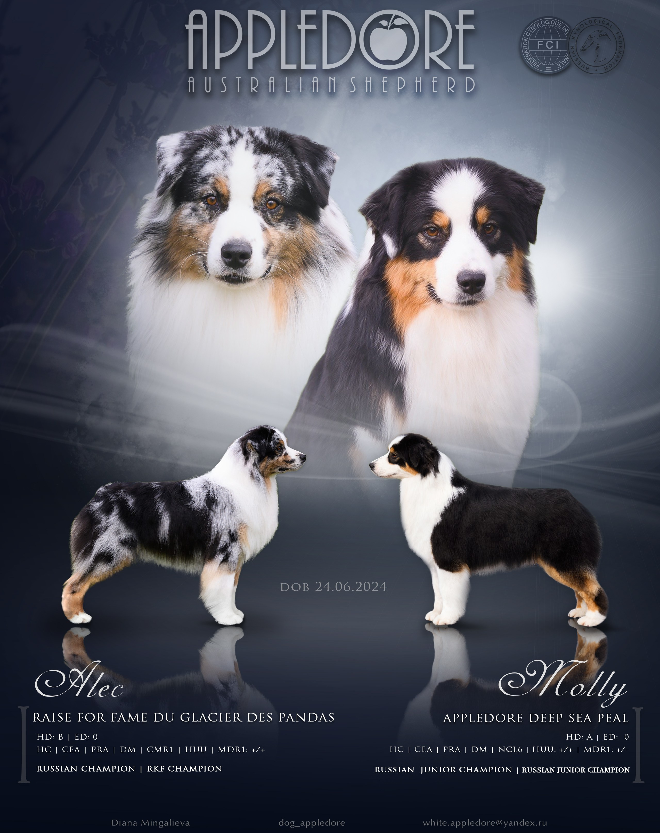 AVAILABLE. APPLEDORE