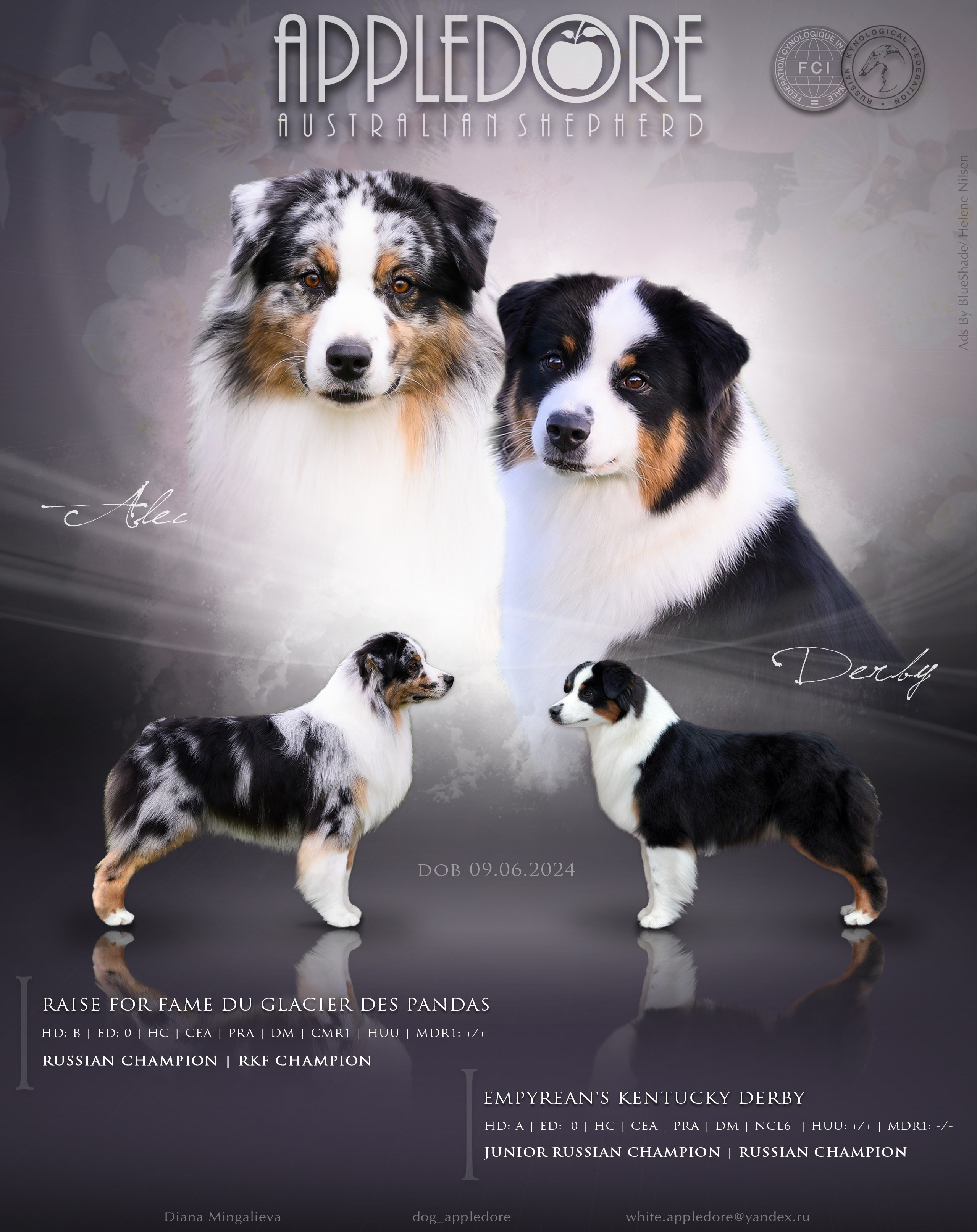 AVAILABLE. APPLEDORE