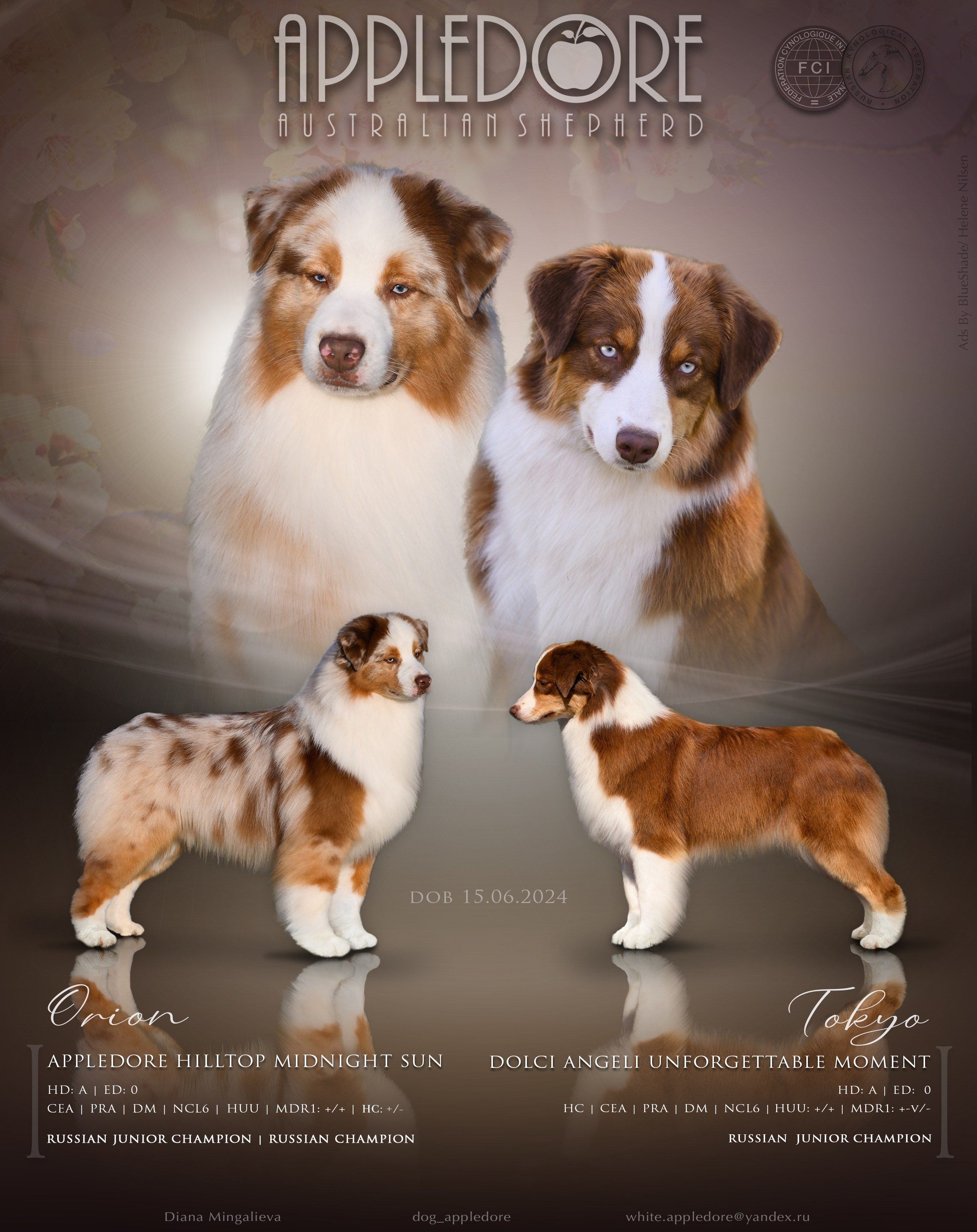 AVAILABLE. APPLEDORE