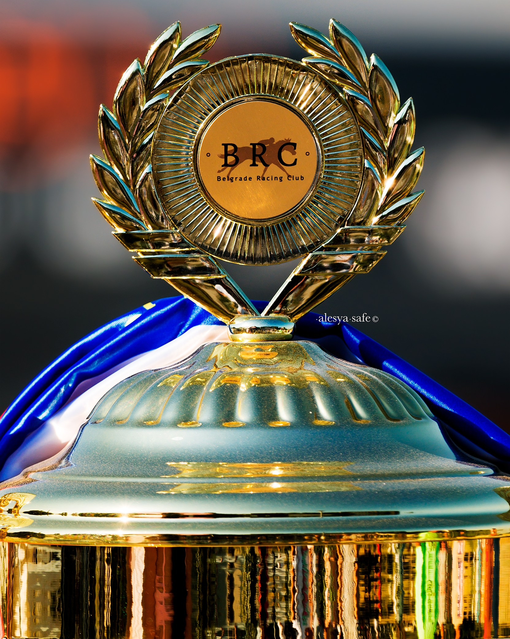 Конкур_европа. Конный фотограф Алеся Сейф / Alesya Safe