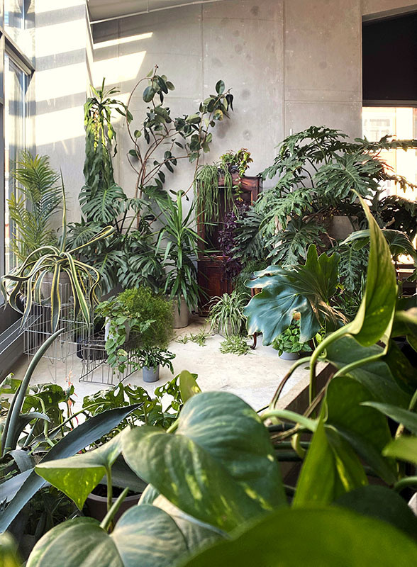 Фотостудии в Москве. Ангелина Богданова, междисциплинарная художница