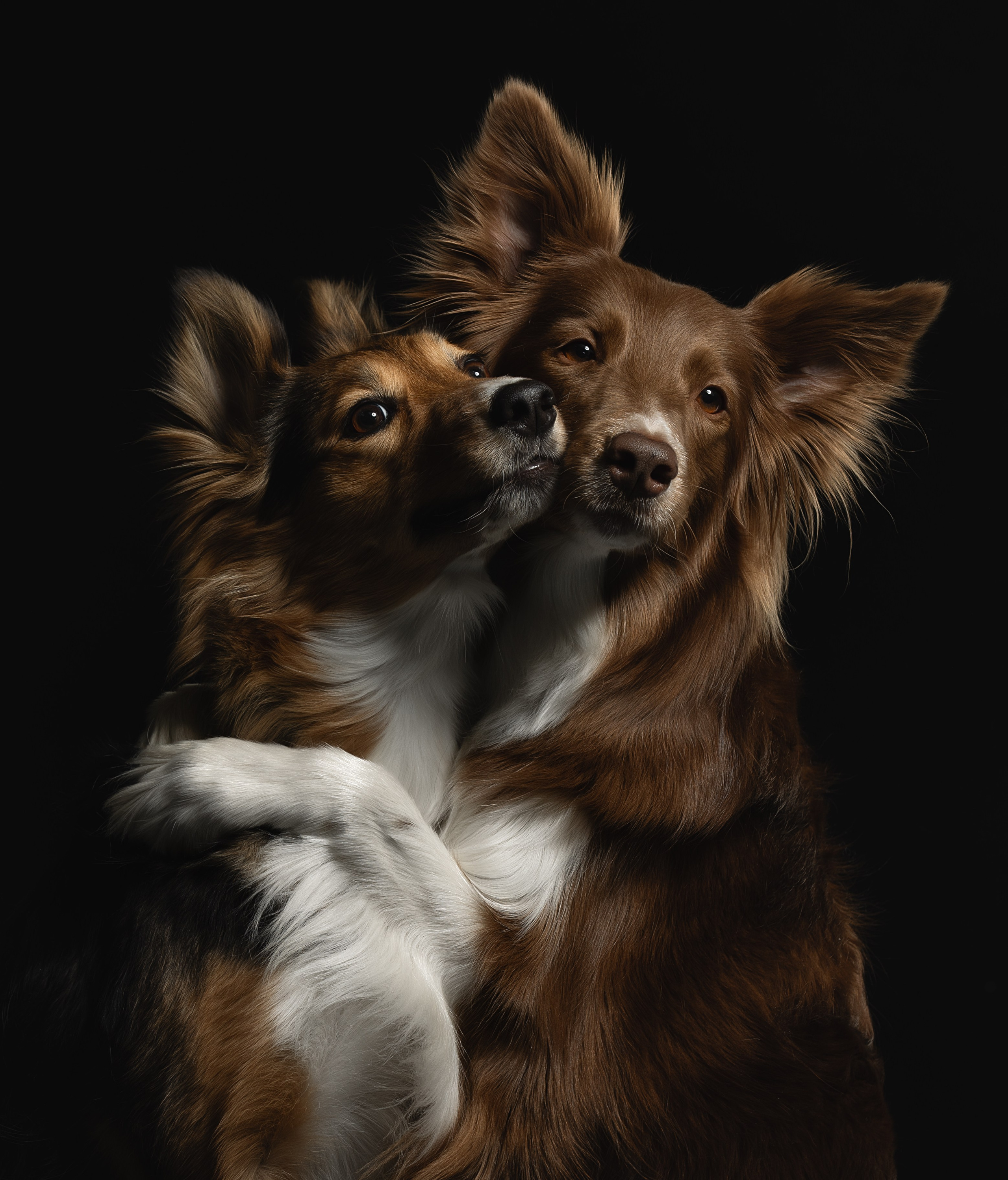 Portfolio Award 2025