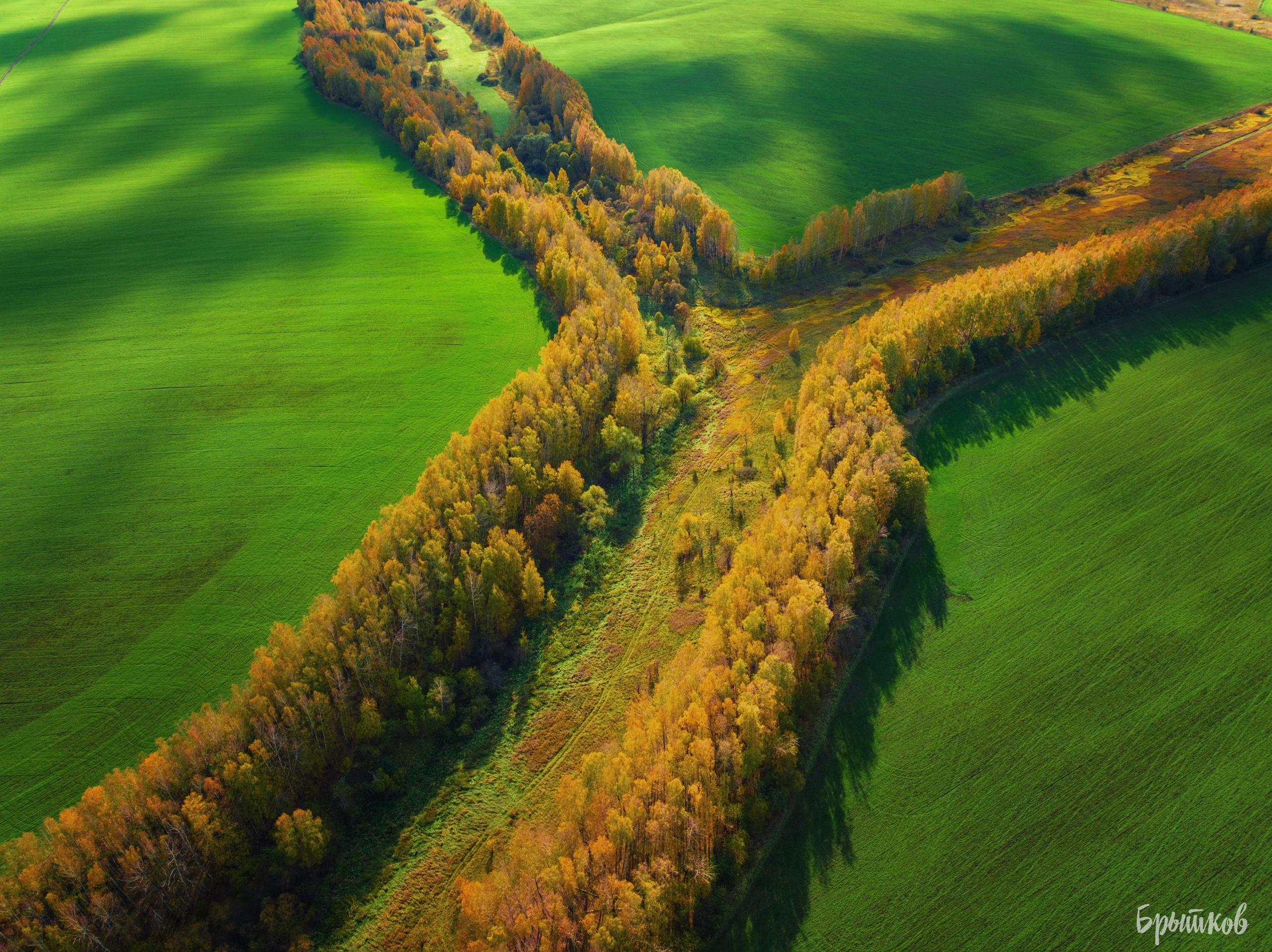 Желто-зеленые осенние поля. Николай Брытков — фотограф в Туле