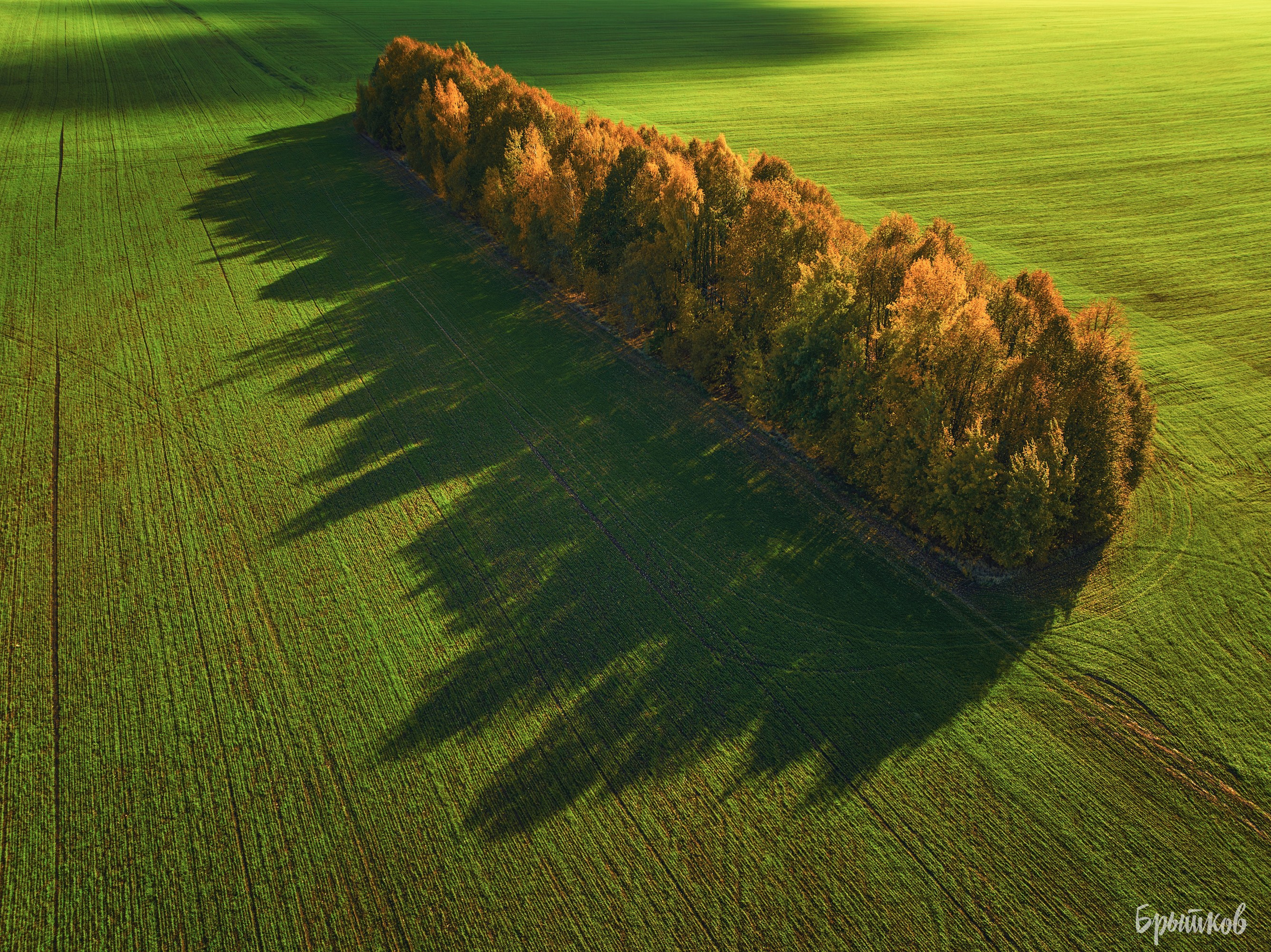 Желто-зеленые осенние поля. Николай Брытков — фотограф в Туле