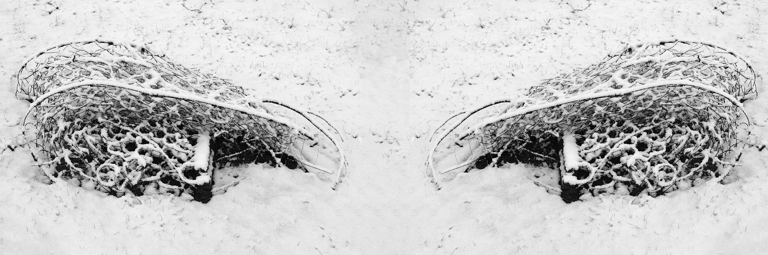 Кураторский проект «Инородное тело»