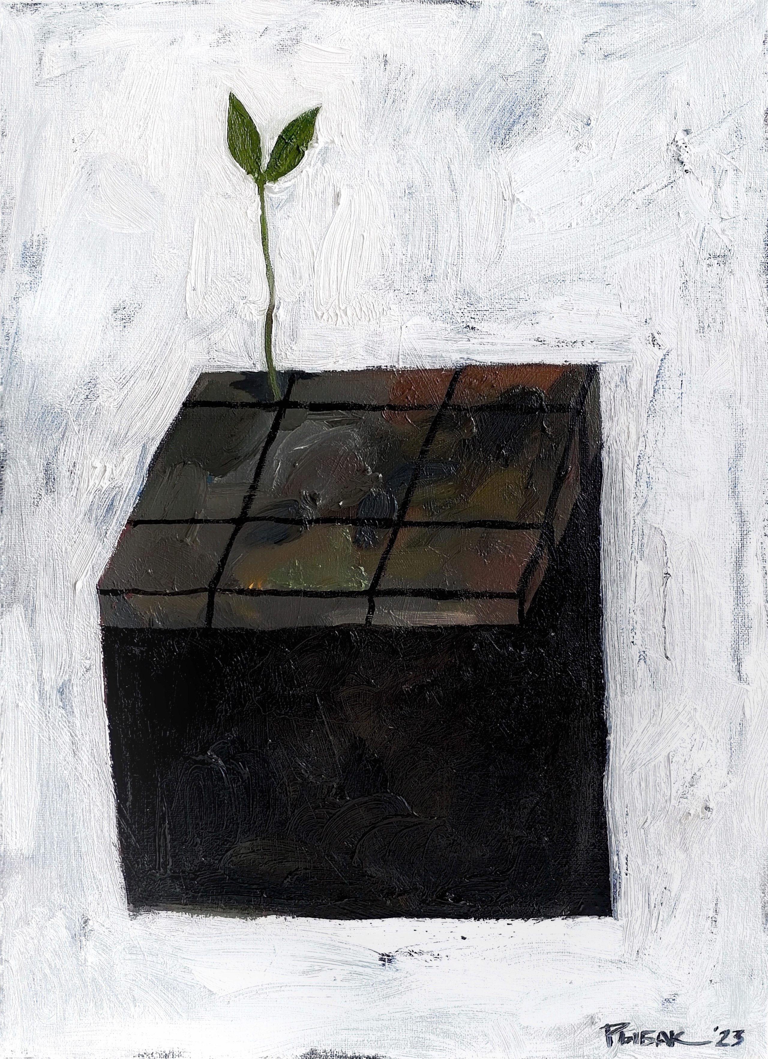 Художник Рыбак Николай, Благовещенск, Владивосток, Дальний Восток