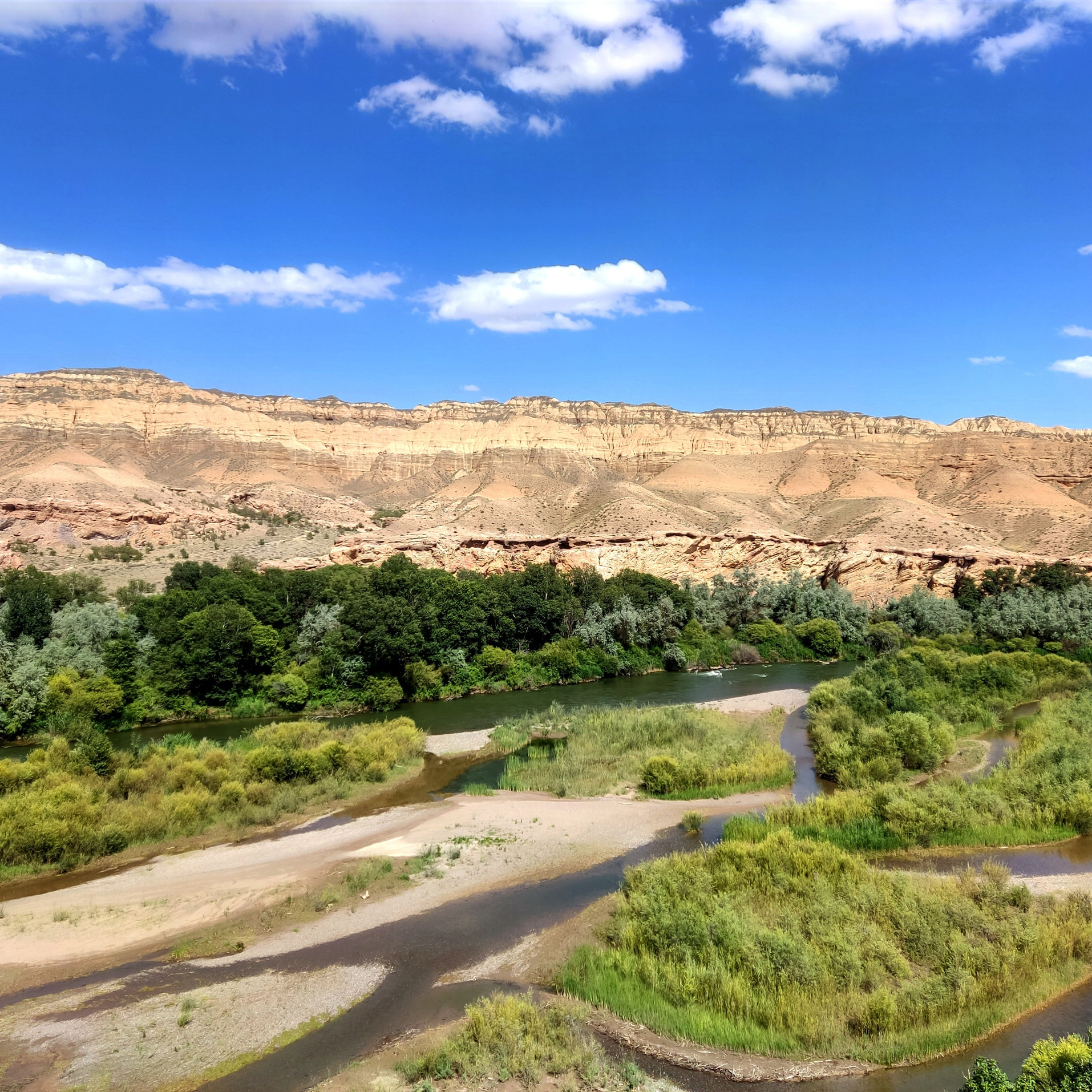 Пейзаж, напоминающий лунный, с извилистой рекой, окруженной густой зеленью и деревьями на фоне пустынных скалистых гор Лунного каньона. Солнечный день с ярко-голубым небом, украшенным небольшими облаками, подчеркивает природную красоту местности. Река Чарын образует небольшие островки, покрытые травой и кустарником.