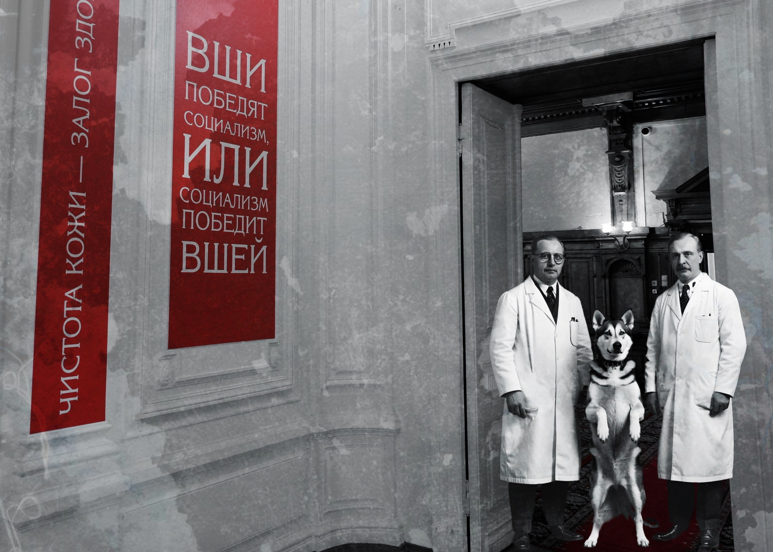 Фотовыставка в музее-театре «Булгаковский дом». Фотограф в Москве, фотожурналист Александр Малахов