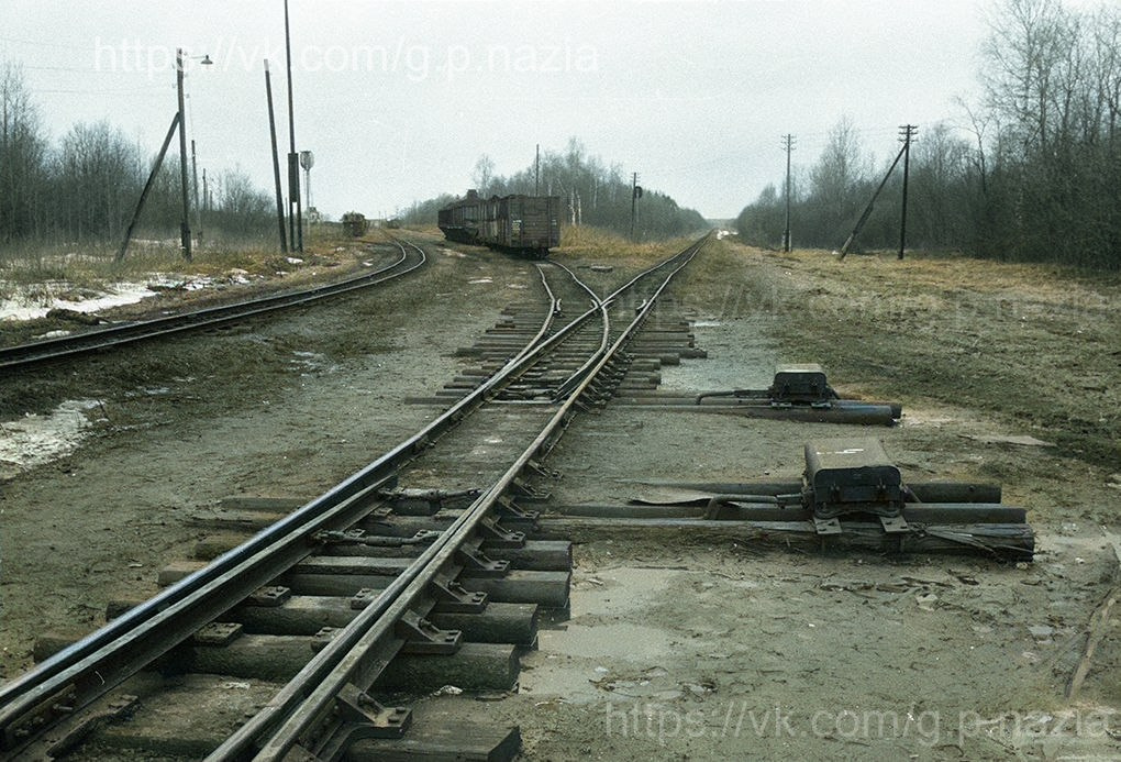 Узкоколейка торфопредприятия «Назия» 1990 г. История Назиевского городского поселения