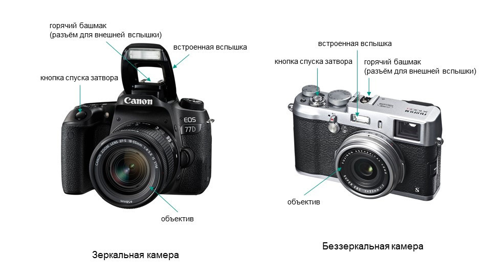 Занятие № 1. FOTOFAQ SKOOL г. Санкт-Петербург: очные, дистанционные и онлайн курсы фотографии