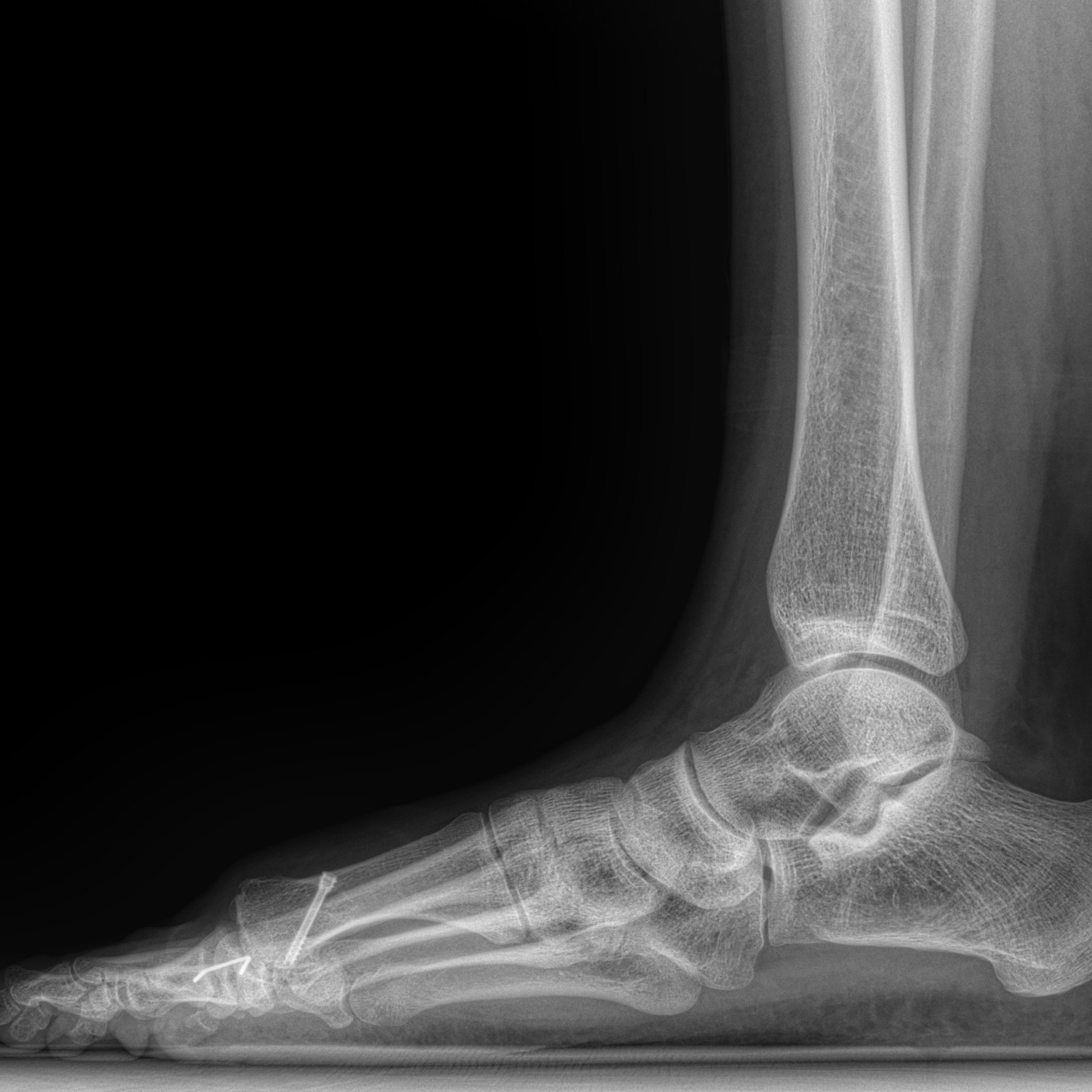 Услуги. РЕНТГЕН КТ МРТ в Санкт-Петербурге Александра Лоншакова