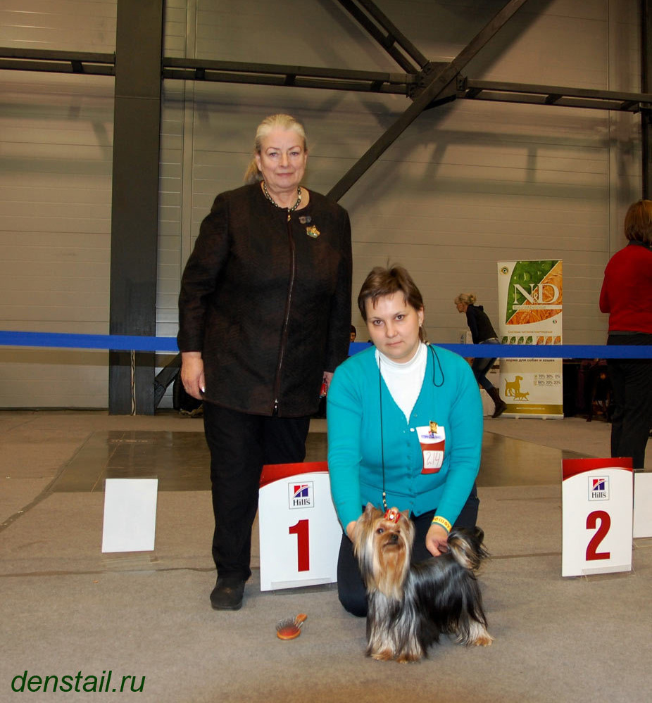 2015 г Результаты выставок. Питомник Йоркширских терьеров Дэнстайл в Санкт-Петербурге заводчик Тих