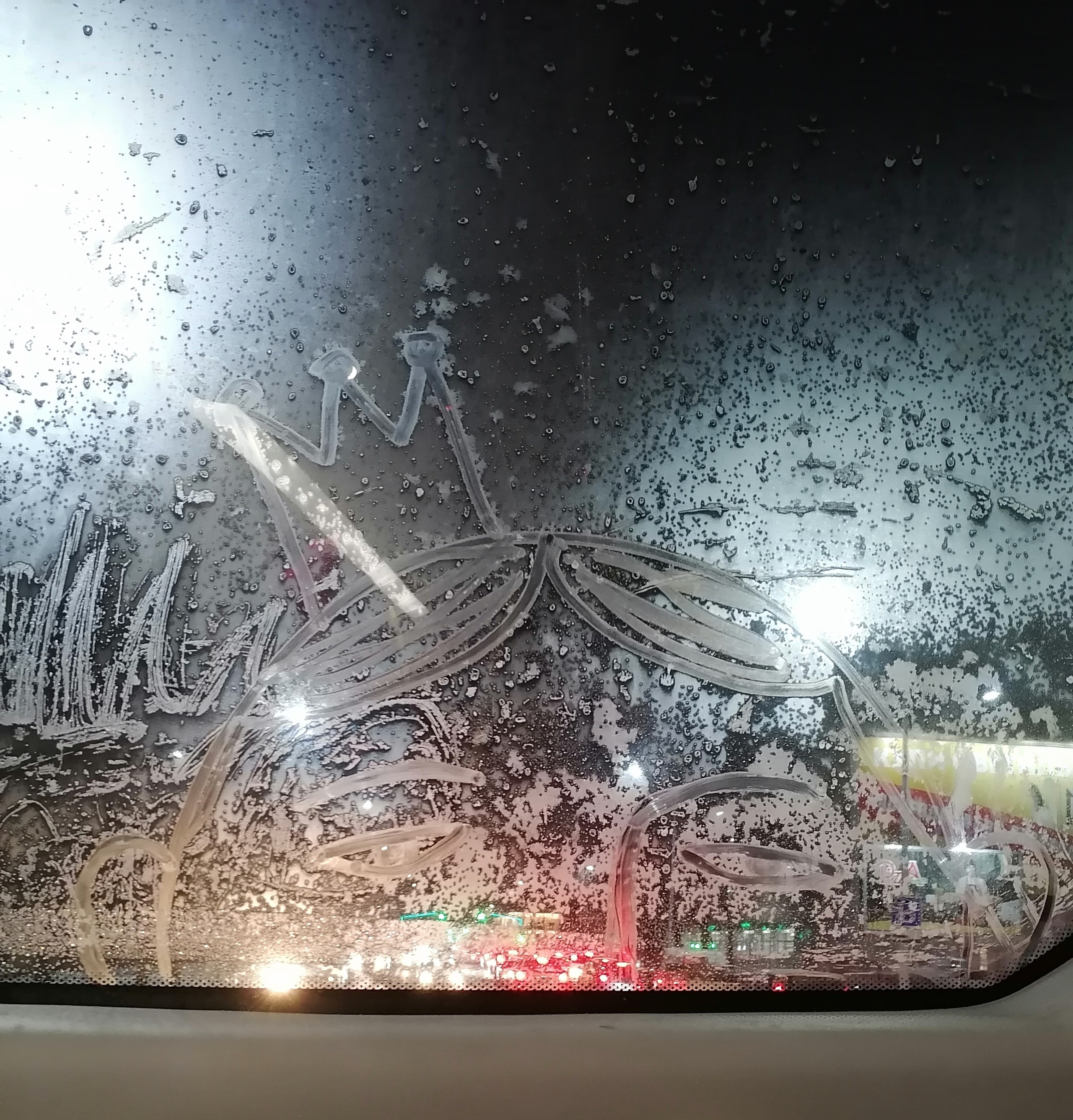 Рисункинаокнахавтобуса. Художник Рыбак Николай