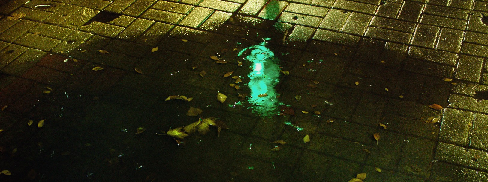 Весна (2025). Руслан Шувалов (поэтограф)