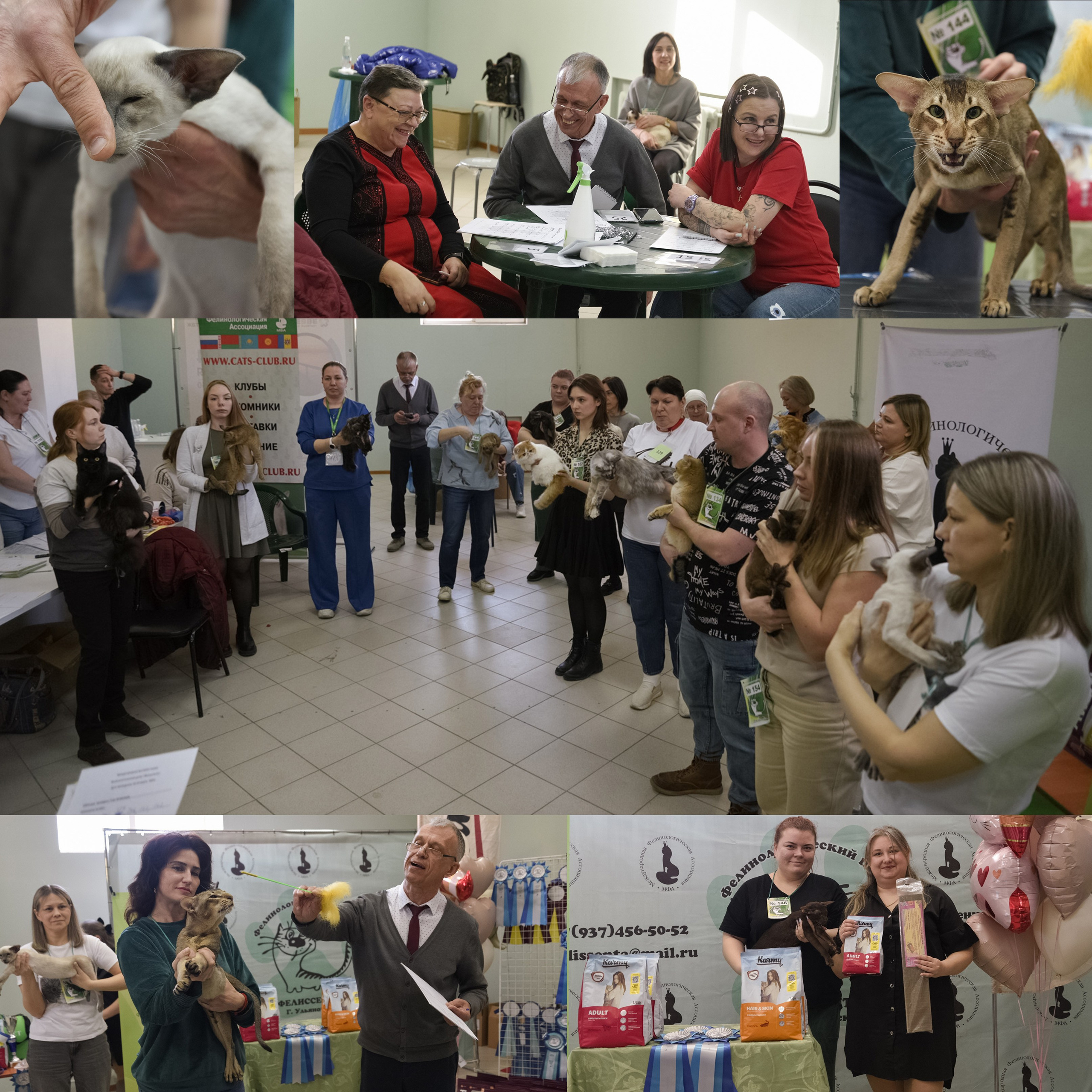 Репортажная съемка с выставки кошек