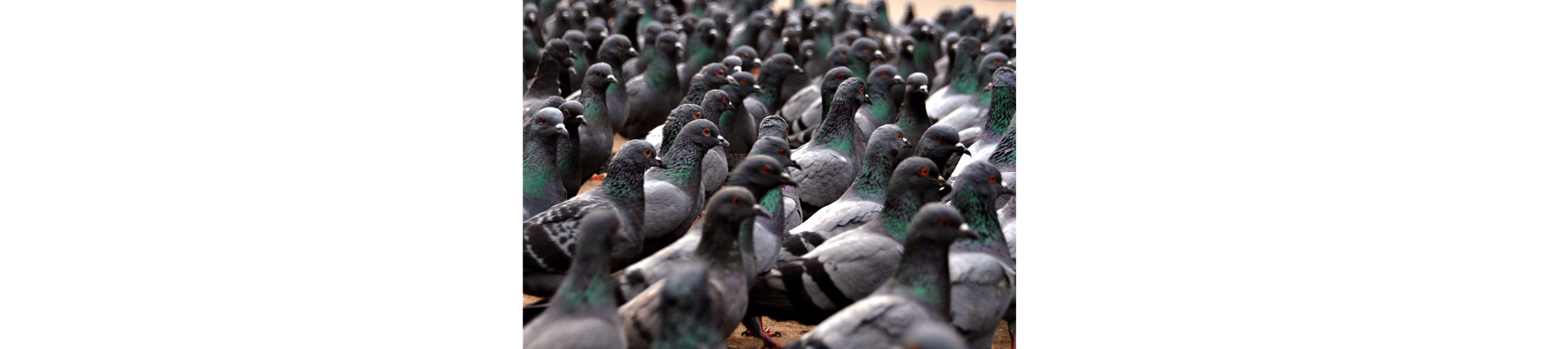 Удивительный секрет успешных экспертов