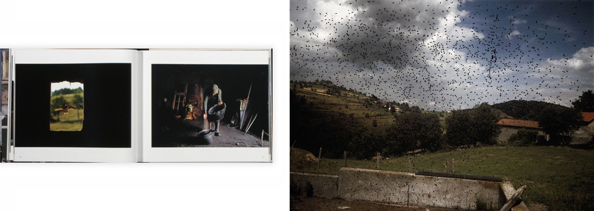 Christophe Agou «Face au silence». …