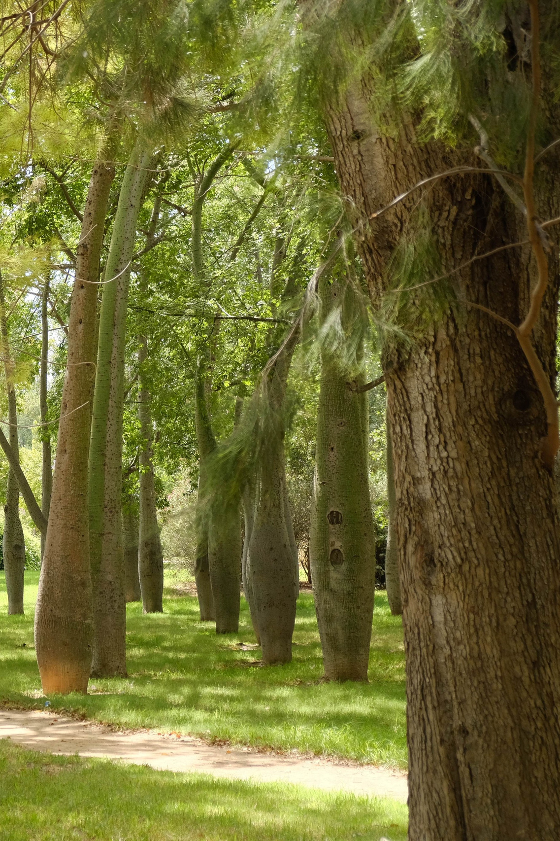Что посмотреть туристу в Валенсии за один день. Гид и фотограф в Валенсии Новиков Михаил