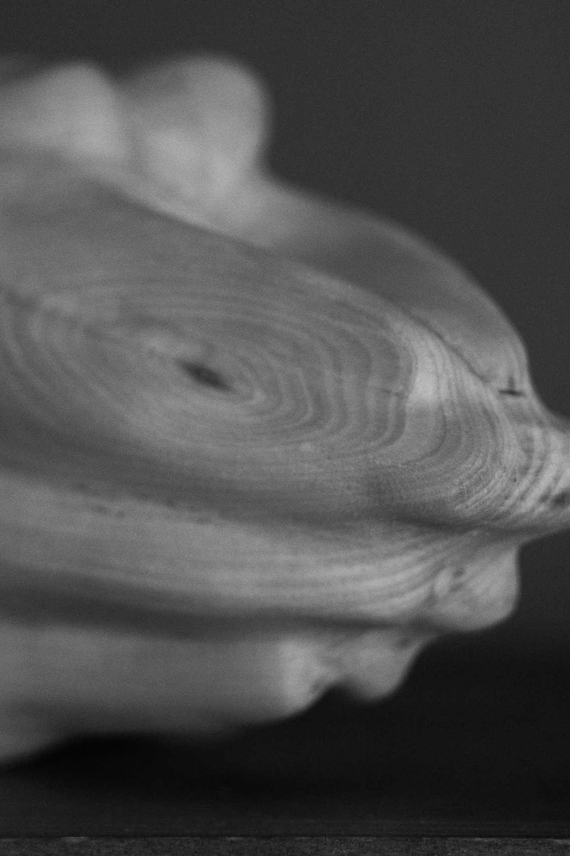 Прошу. Anna Vishnevskaya