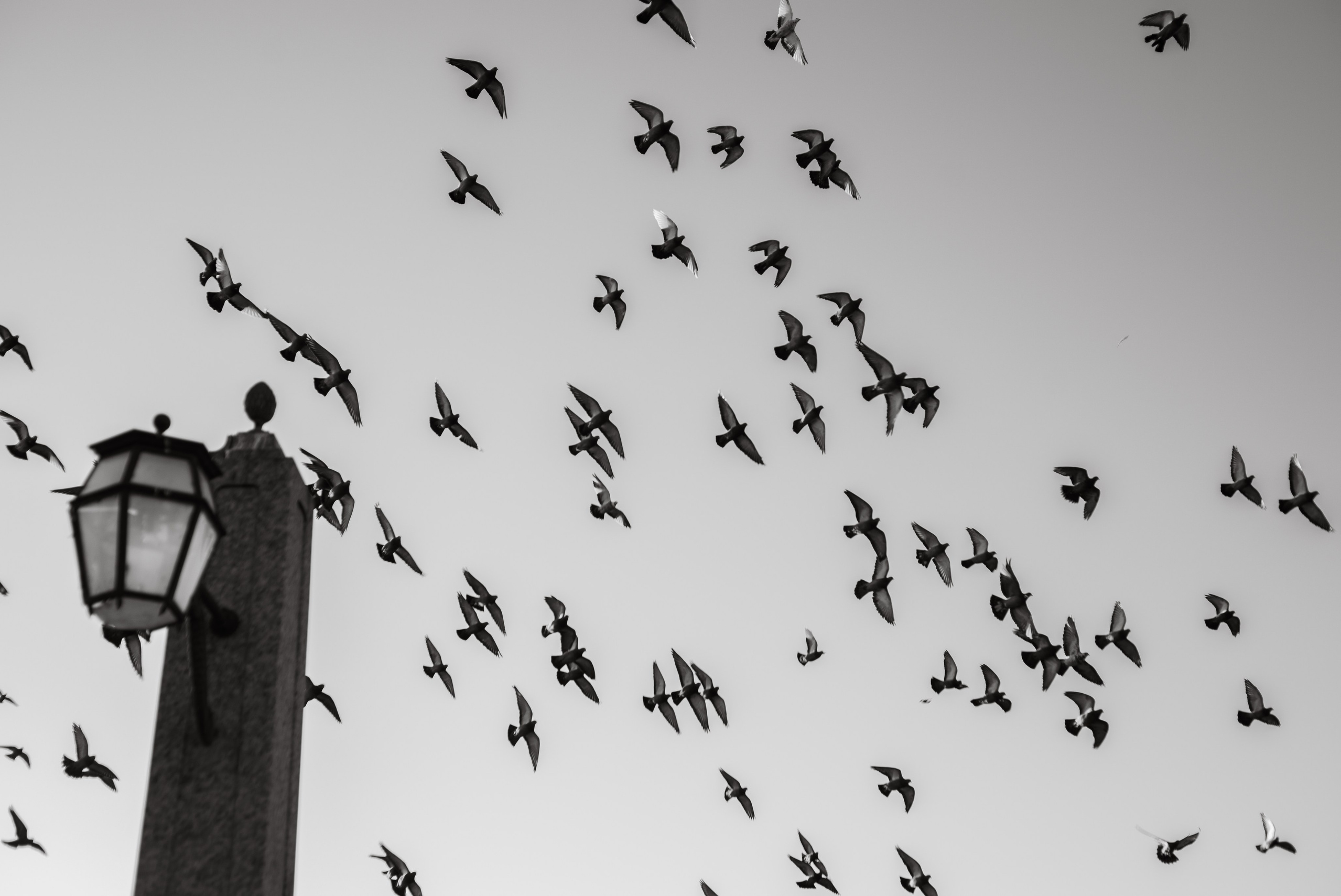 Контакты. Мария Гафарова|Фотограф Санкт-Петербург