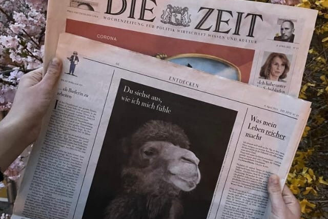 фотограф, фотовыставка, выставки, выставка фотографий, открытие выставки, коллективная выставка, фотограф в СПб, питер фотограф, конный фотограф, съемка лошадей, конная фотография, профессиональный фотограф, фото лошадей, портреты лошадей, фото с лошадьми, заказать съемку лошади, авторские фотографии, публикации в изданиях, росфото