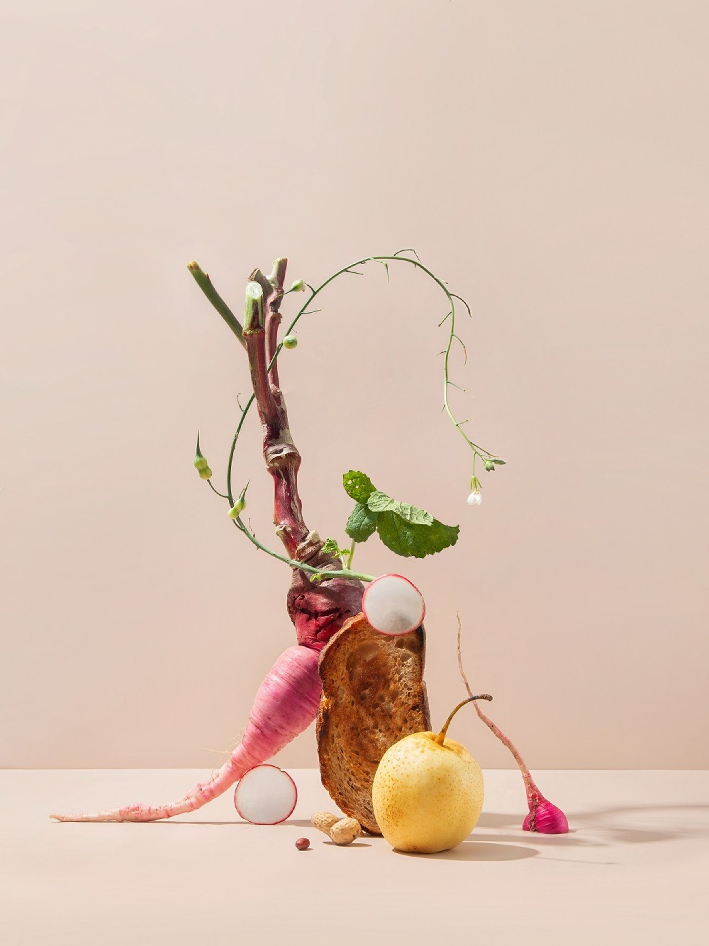 Portfolio Award 2026