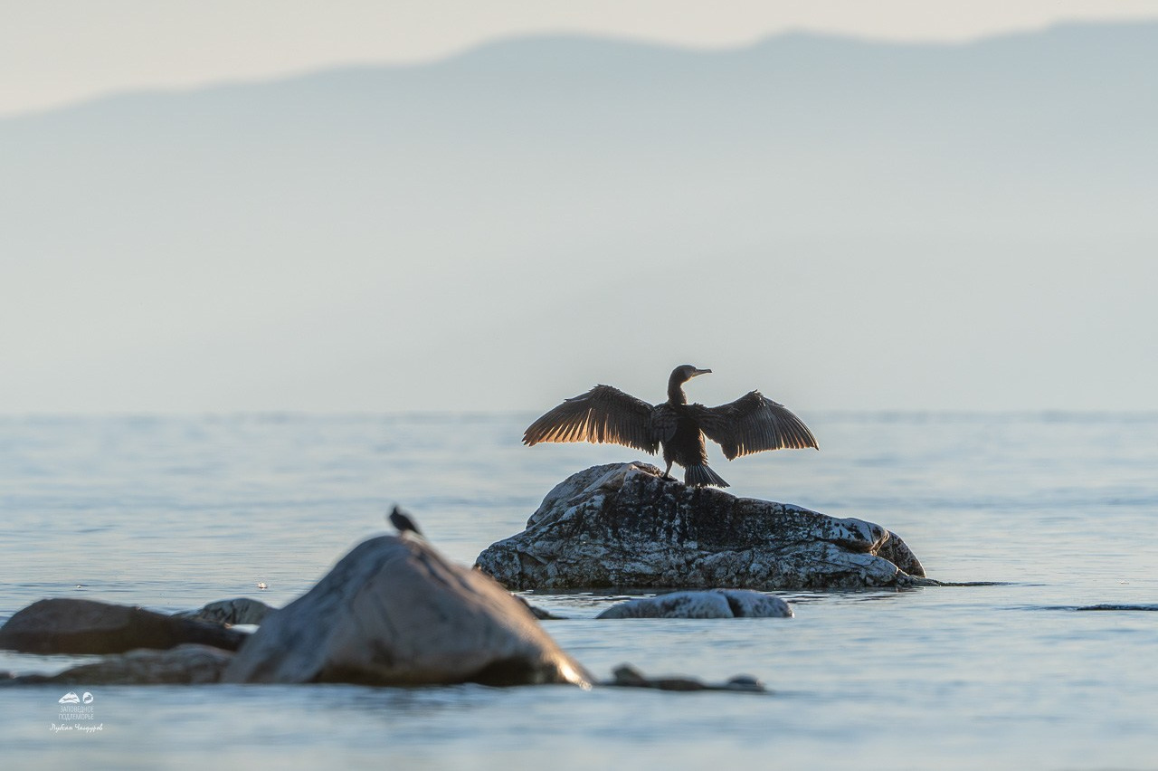 Фотограф Лубсан Чагдуров