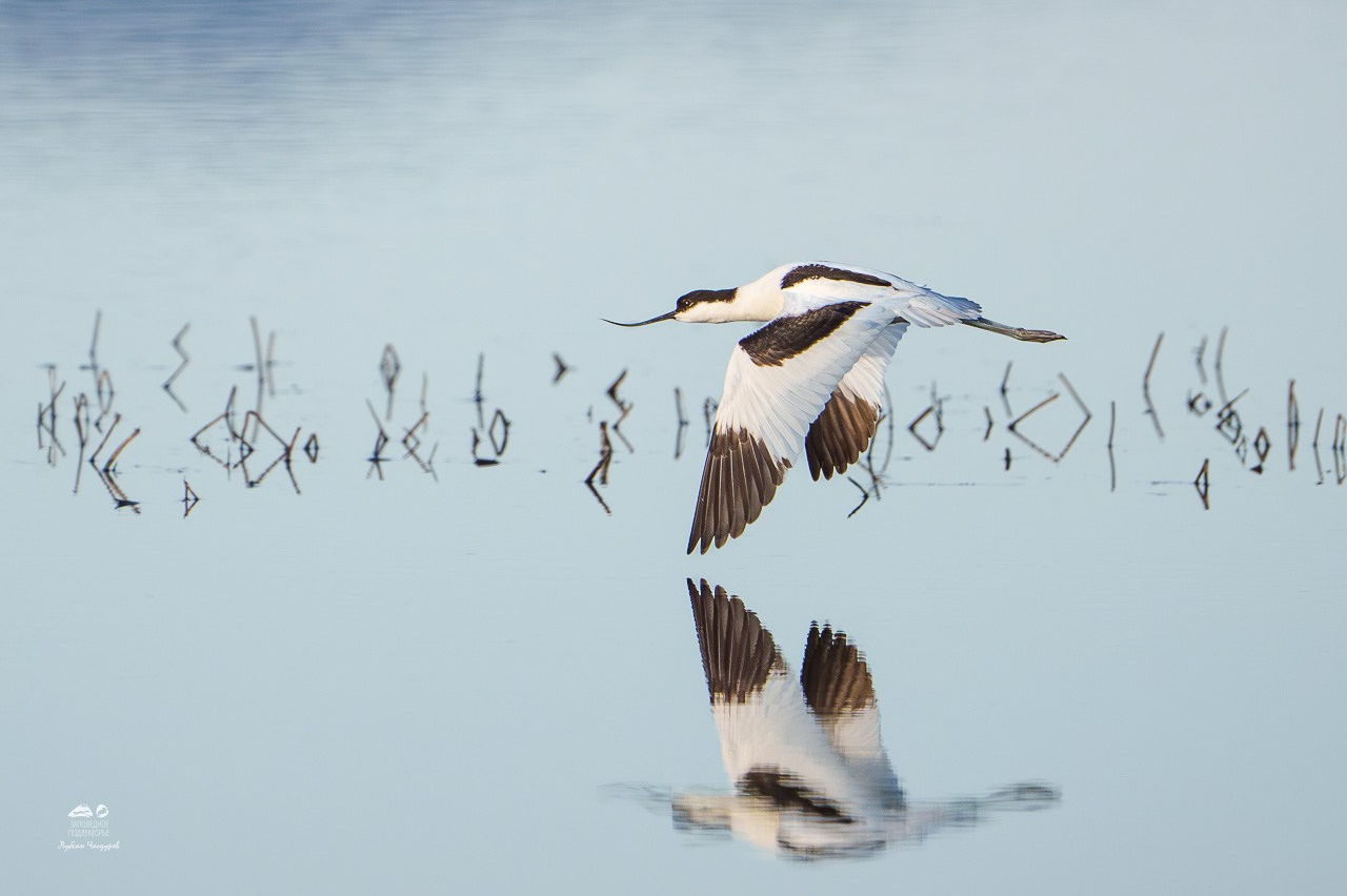 Фотограф Лубсан Чагдуров