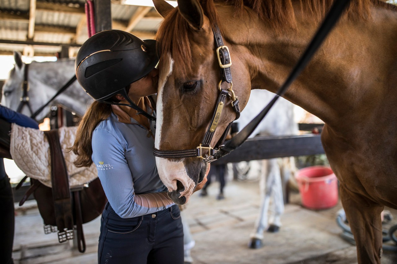 Tutorials. Liana Antanovich | Equestrian Strategies