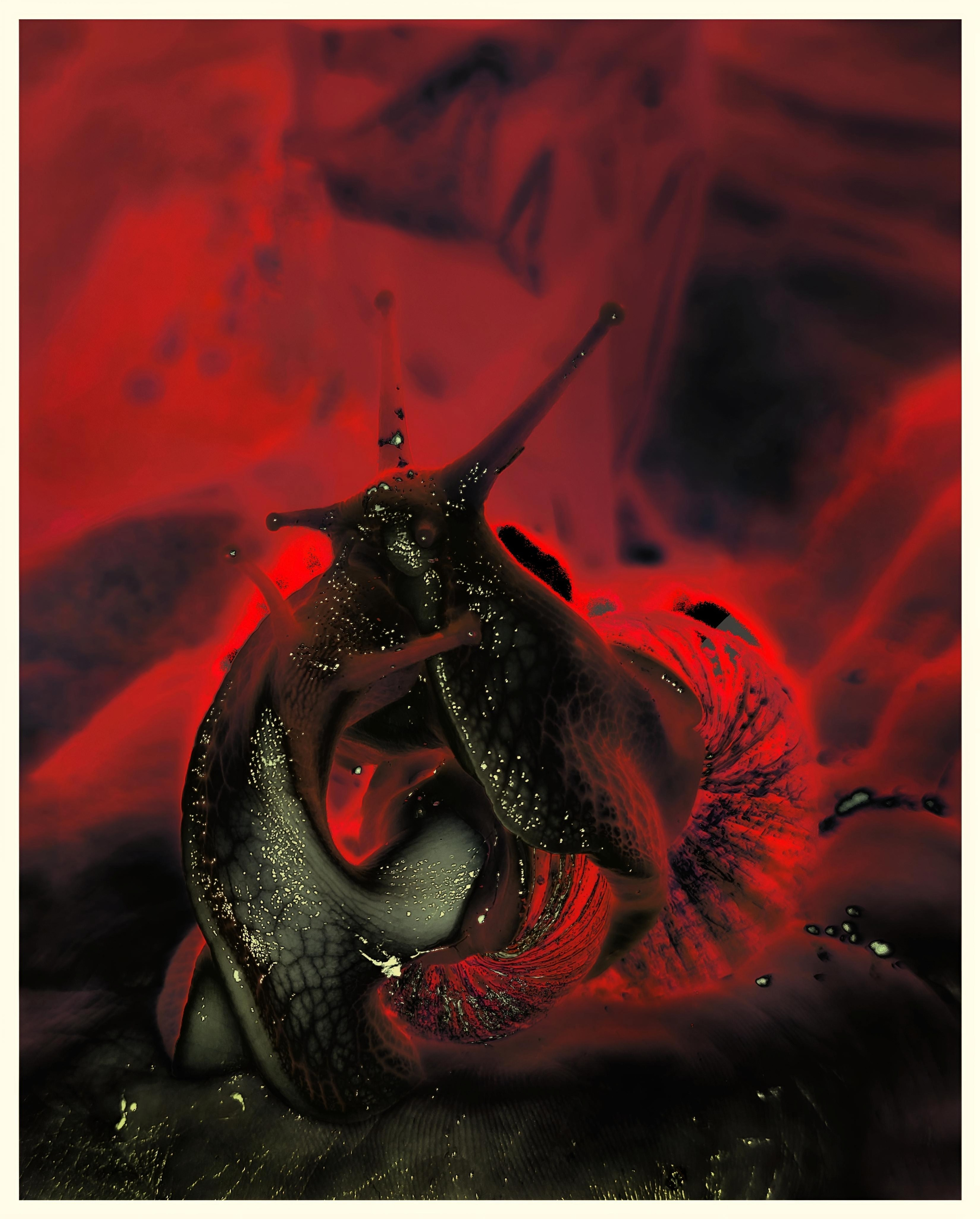 Купить постер (1). Репортажный и портретный фотограф, Влад Хафизов, Москва