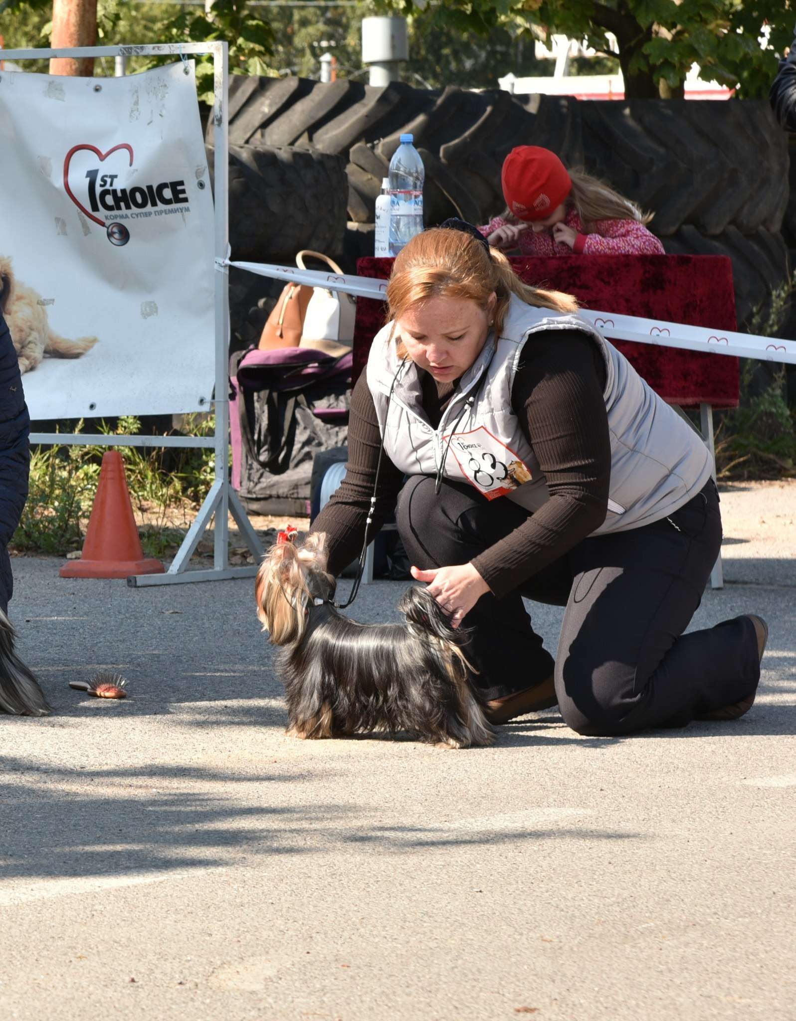 2015 г Результаты выставок. Питомник Йоркширских терьеров Дэнстайл в Санкт-Петербурге заводчик Тих