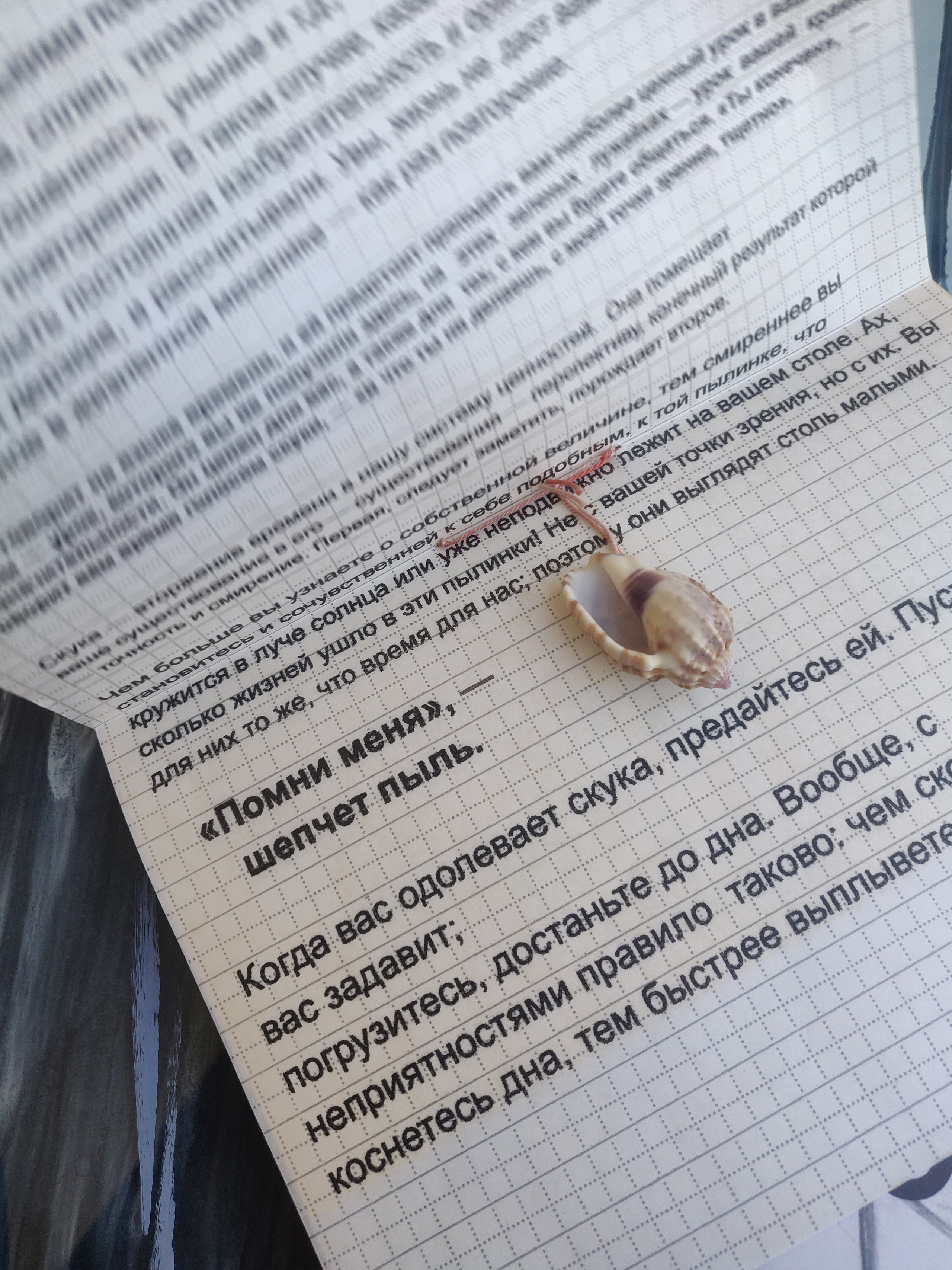 Сет зинов ''Боль — Холод — Скука — Любовь''