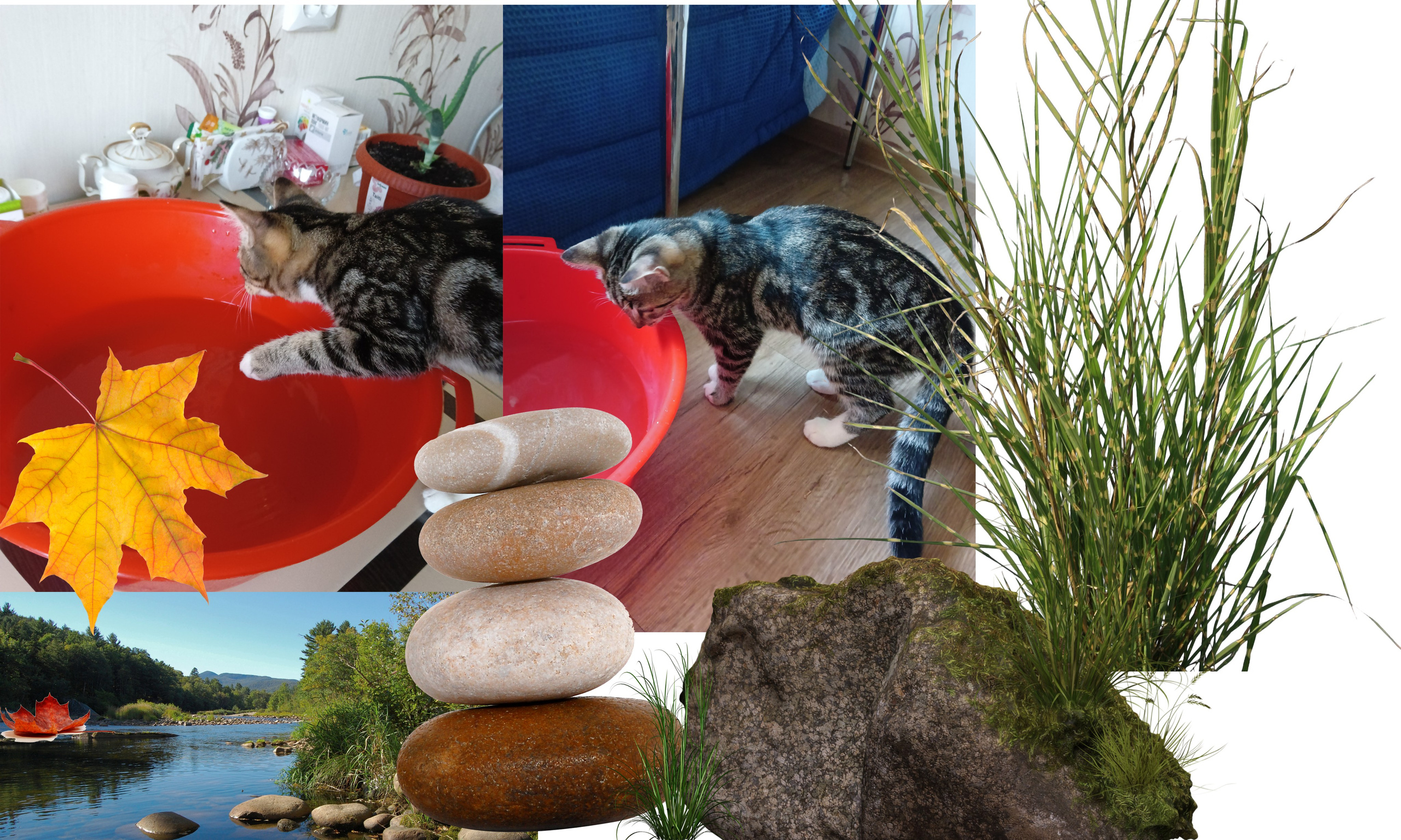 Фотоарт. Качественная ретушь фотографий Вера Сартакова